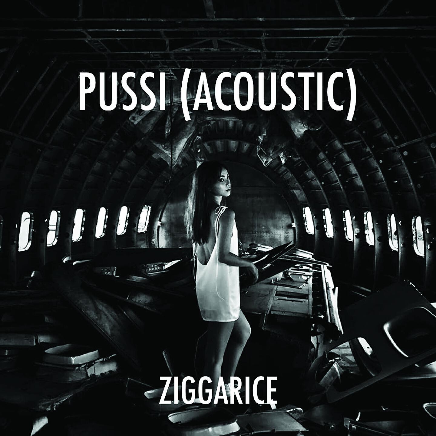 Релиз Pussi (Acoustic Version)