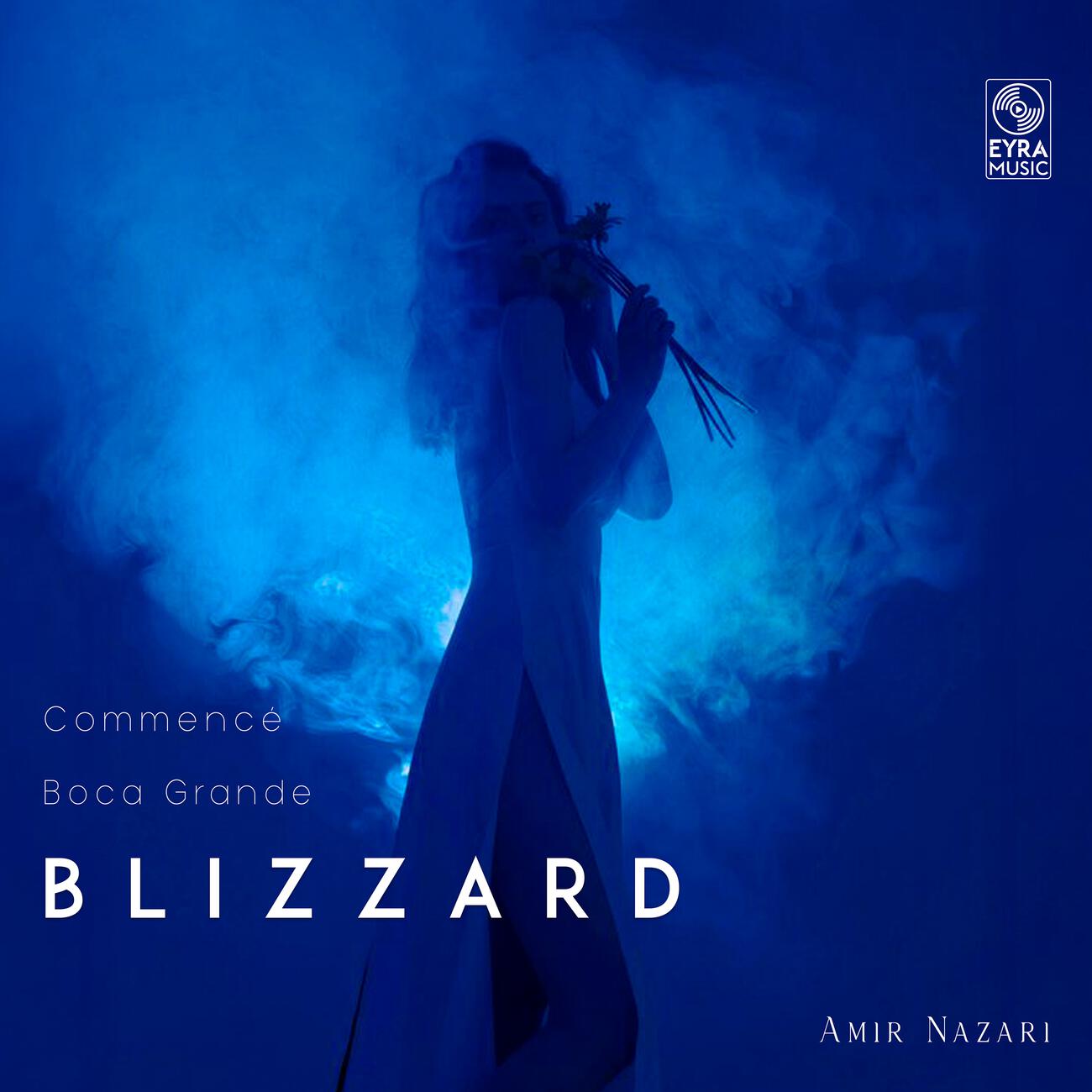Постер альбома Blizzard