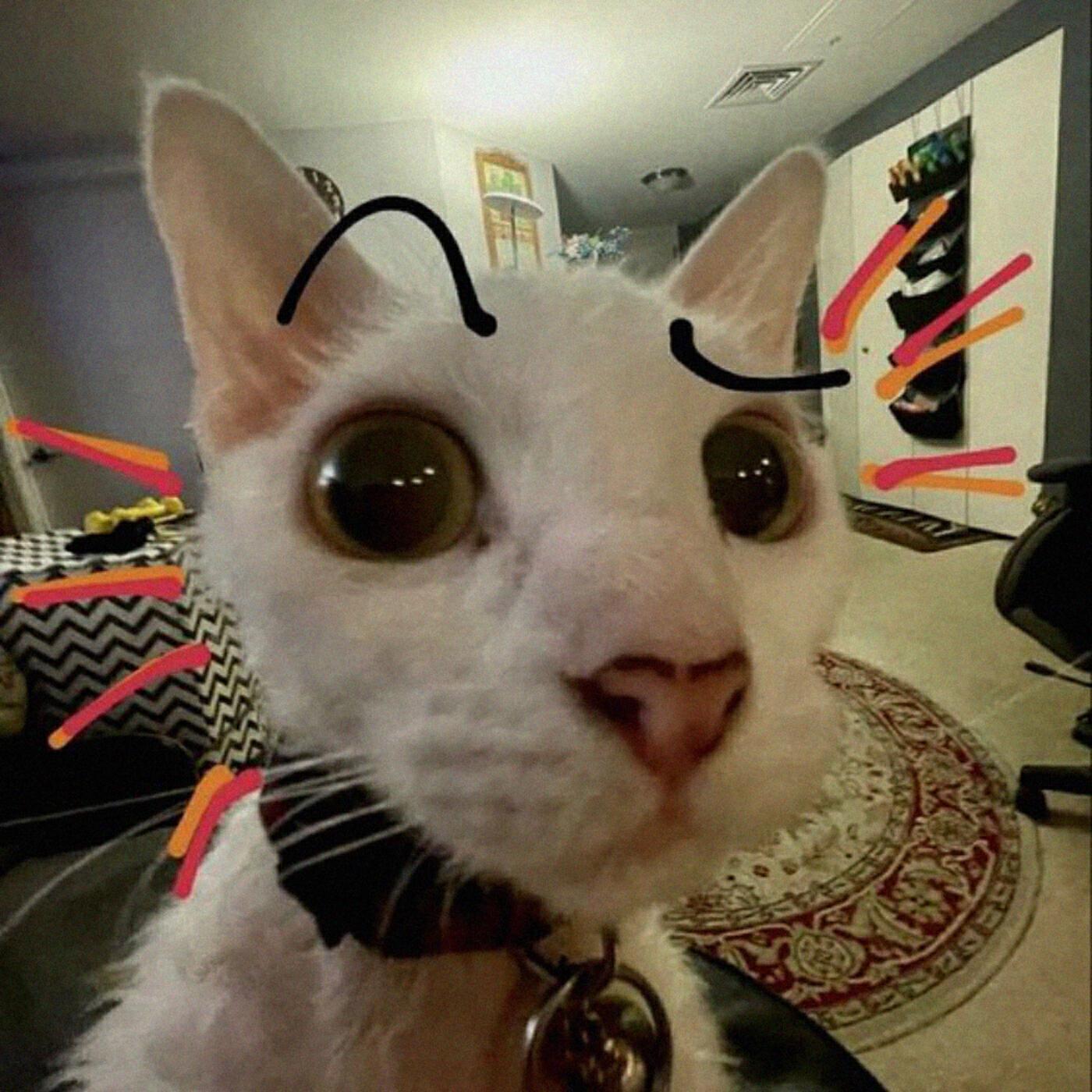 aiwuio