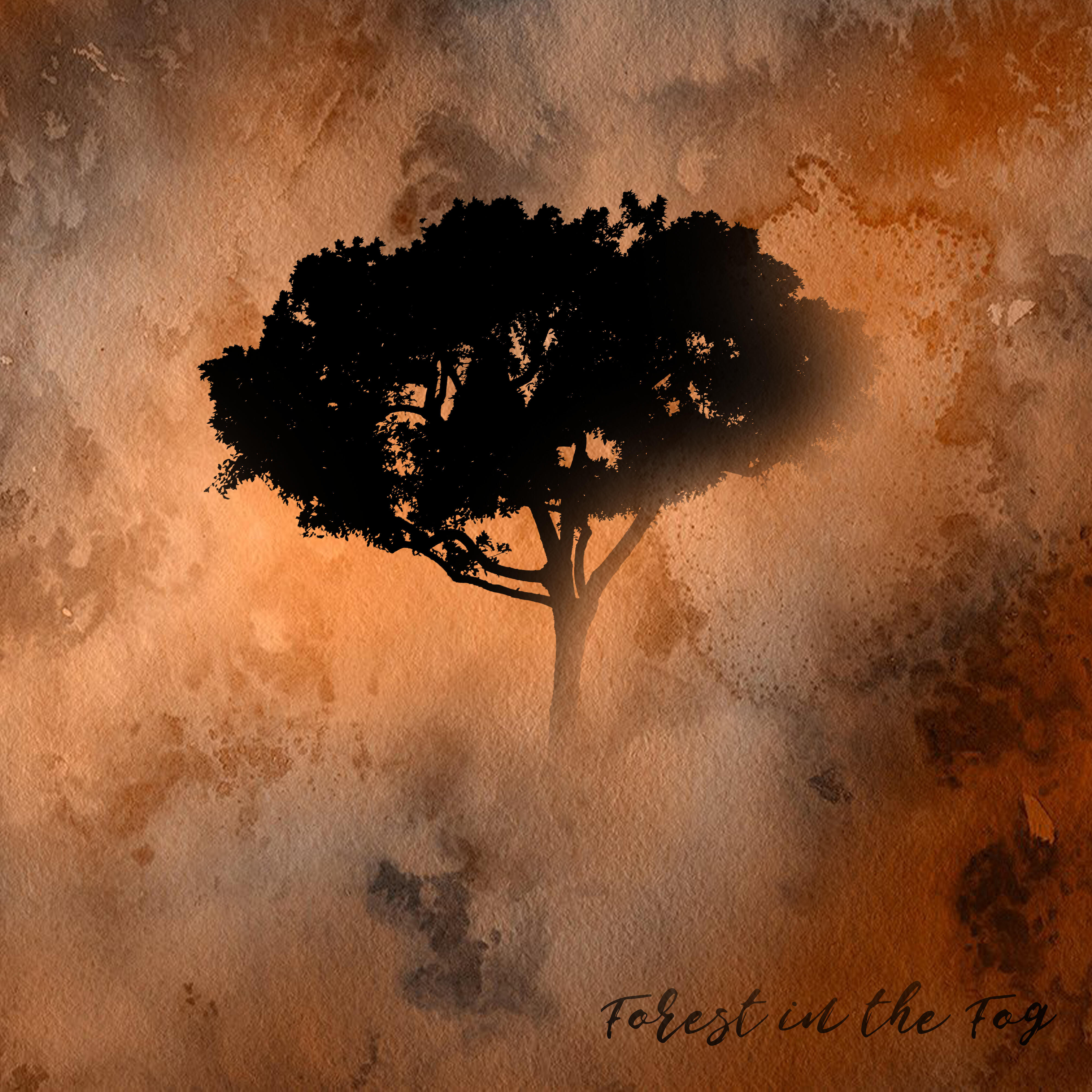 Релиз Forest in the Fog