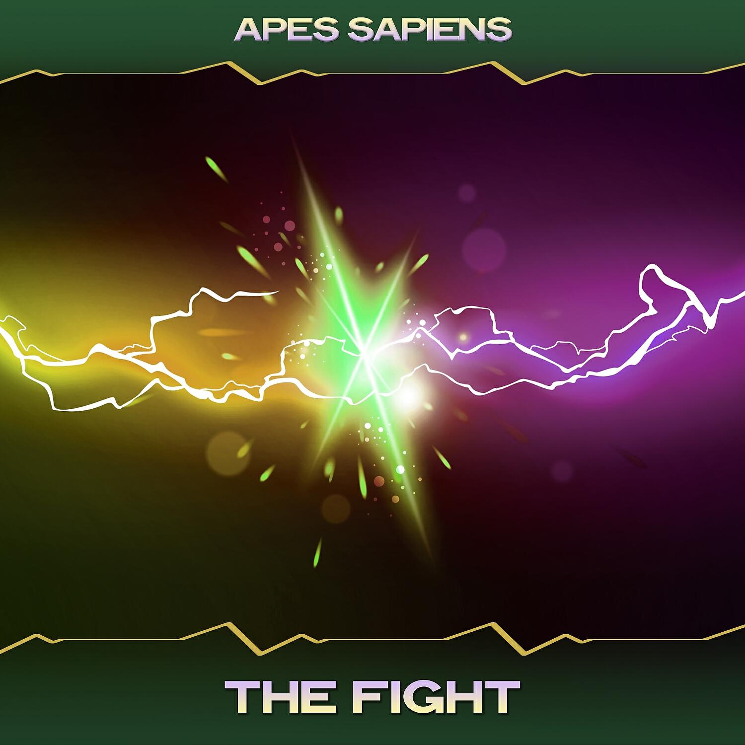 Релиз The Fight