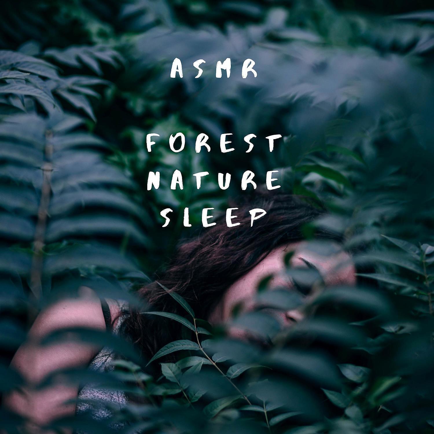 ASMR Forest Nature Sleep