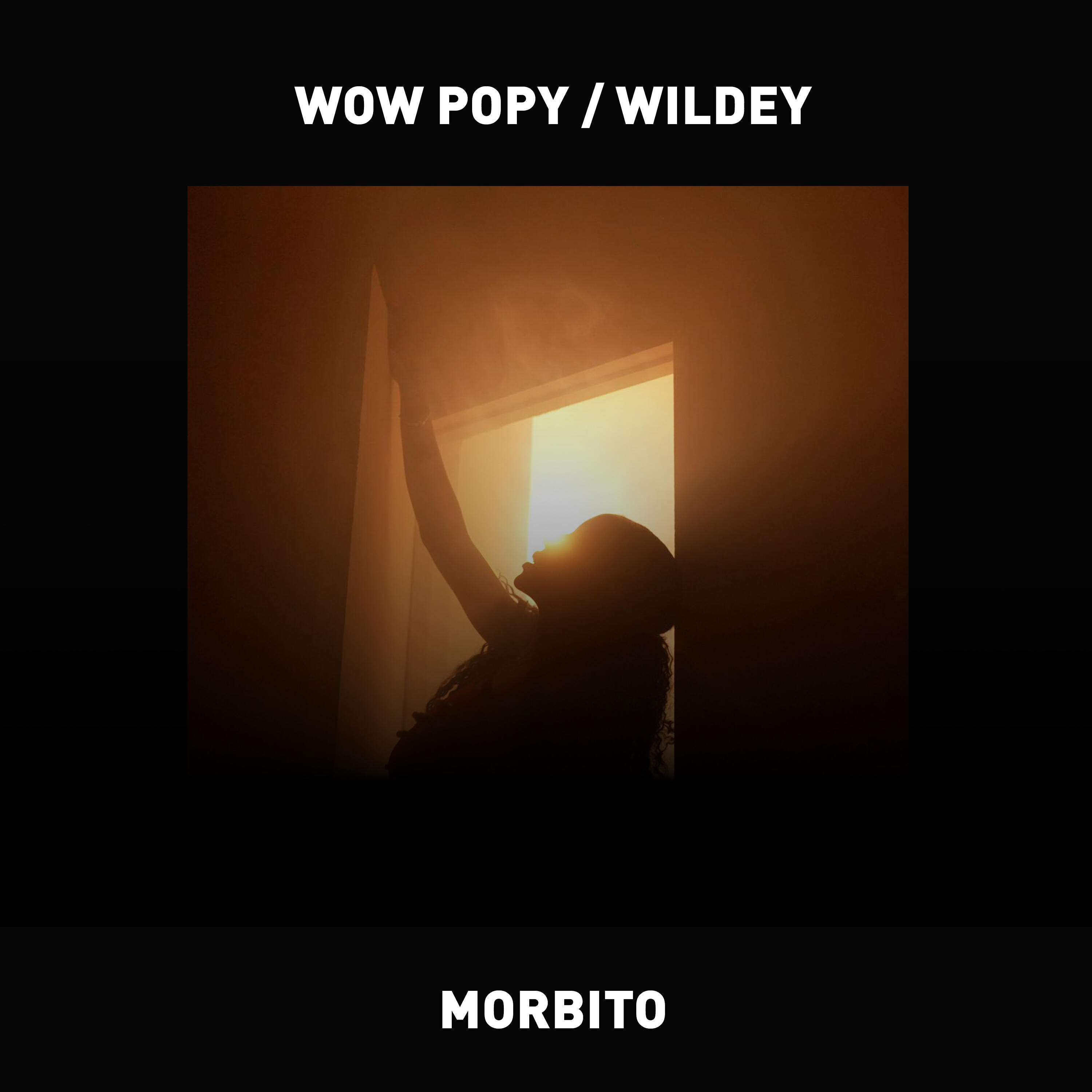 Релиз Morbito