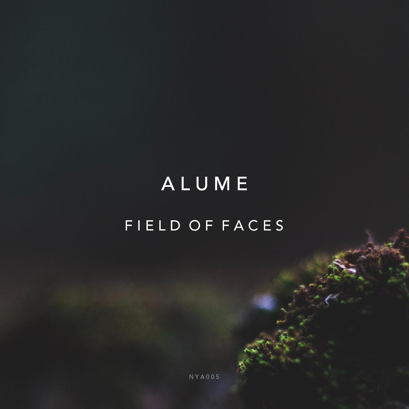 Alume