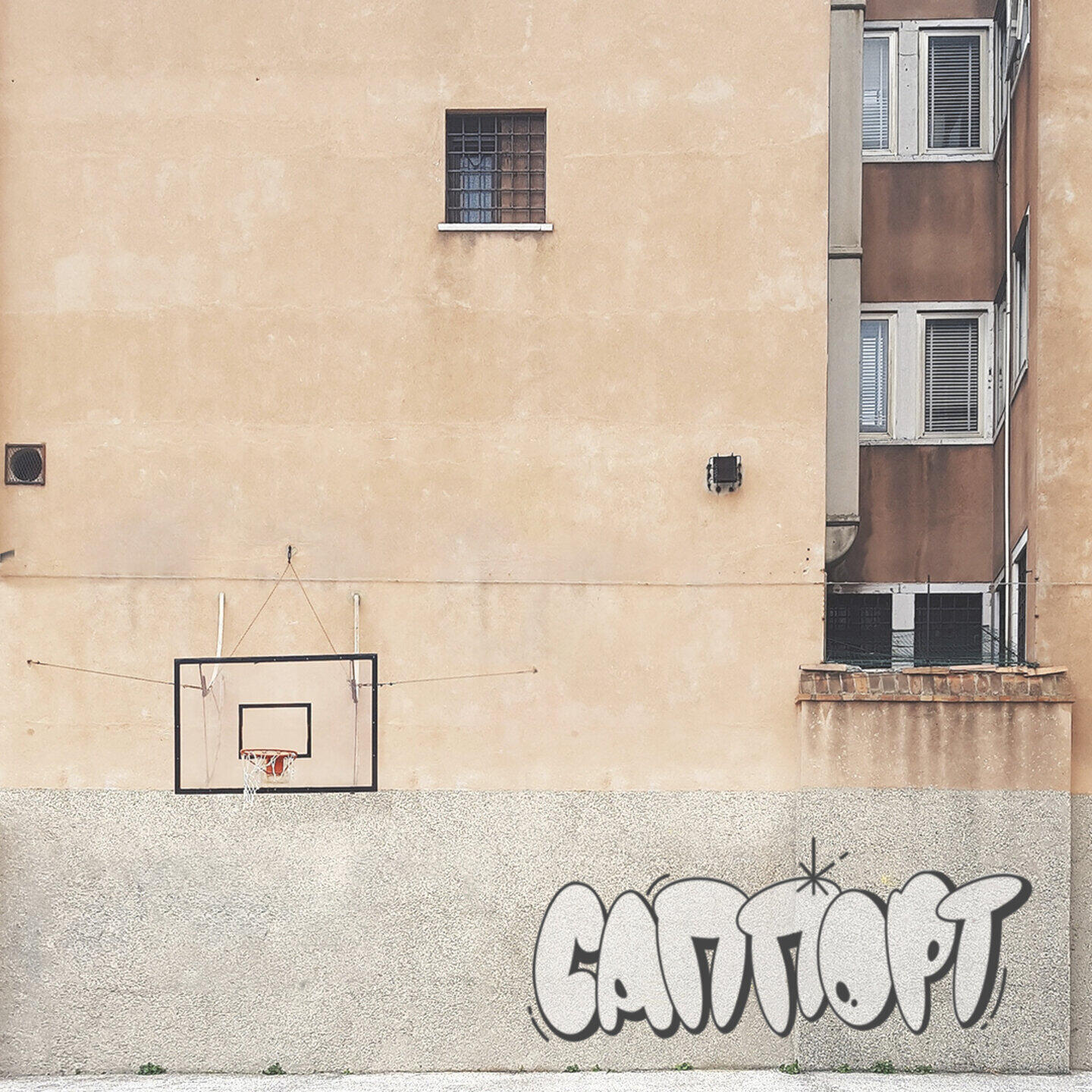 Релиз Саппорт Your Locals