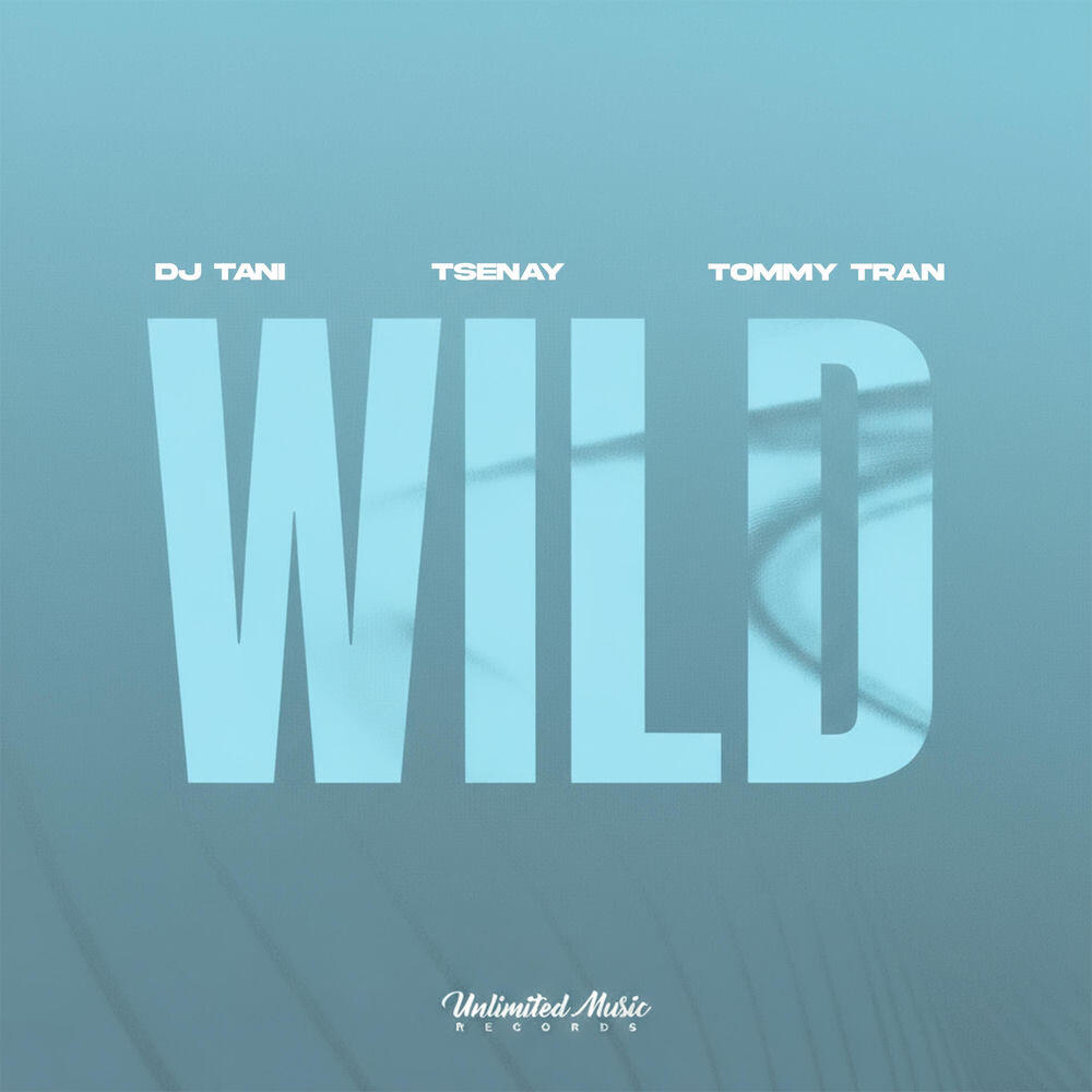 Релиз Wild (Tommy Tran Remix)