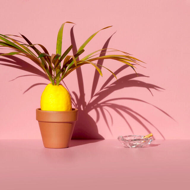 Релиз Fruchtsalat