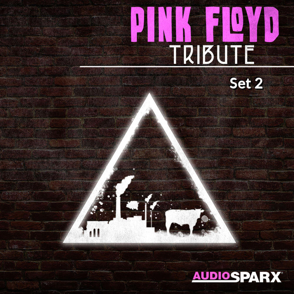 Релиз Pink Floyd Tribute, Set 2
