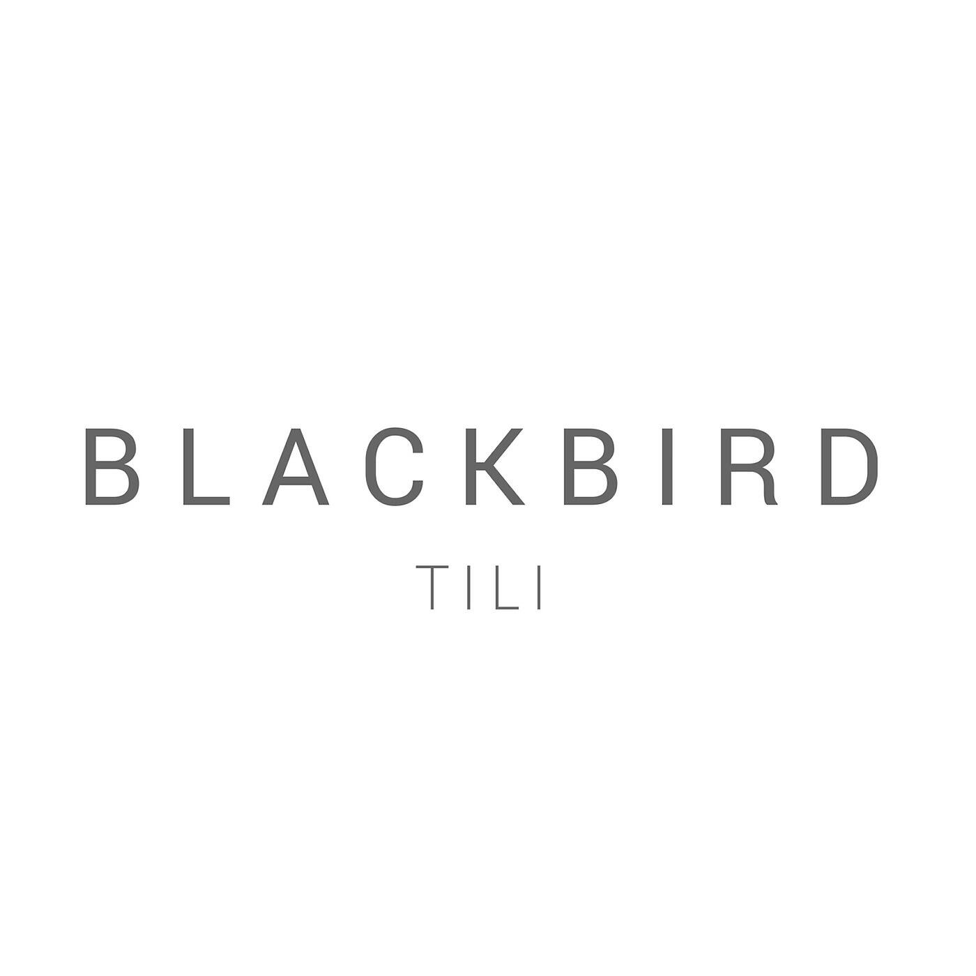 Релиз Blackbird (Vocoder Version)