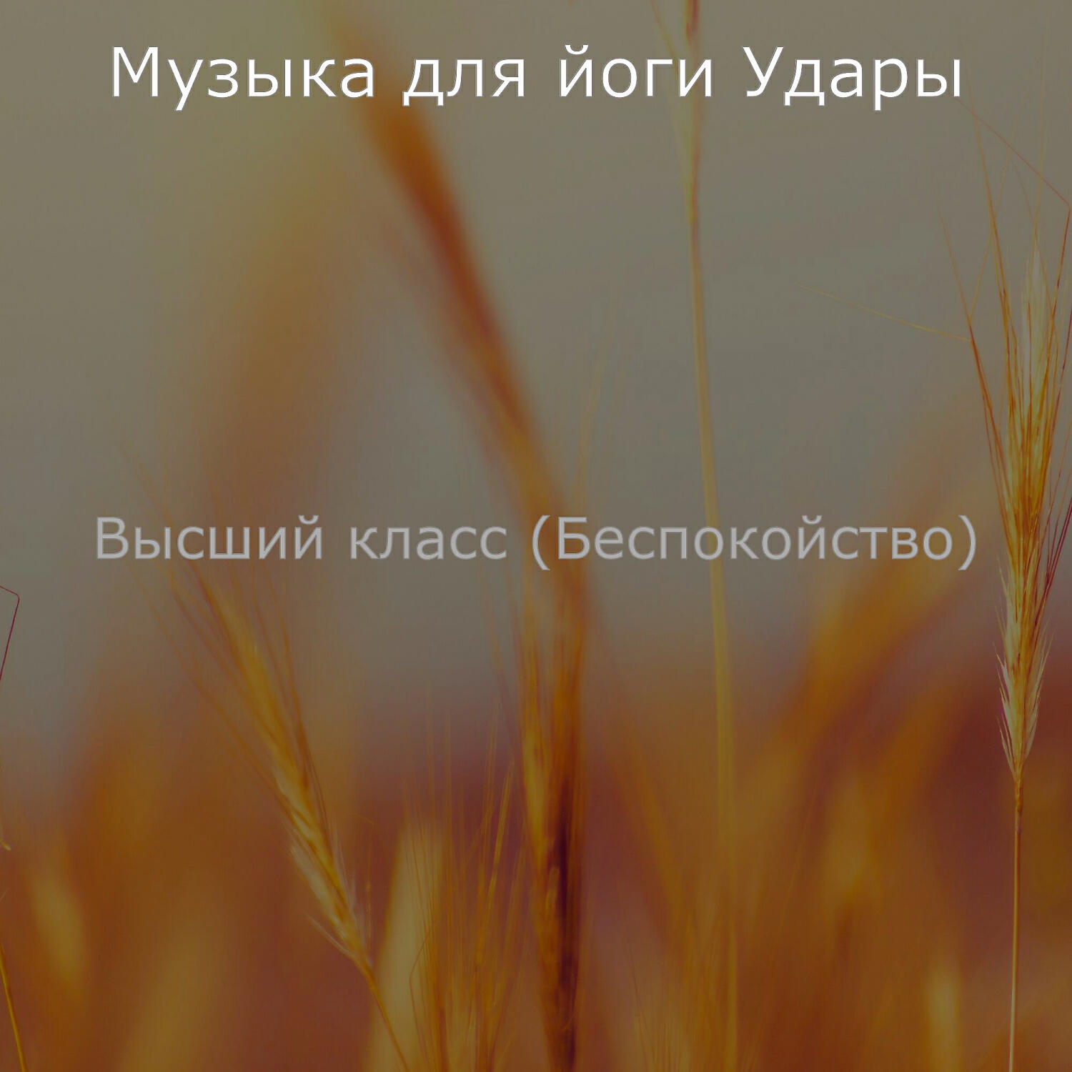 Релиз Высший класс (Беспокойство)