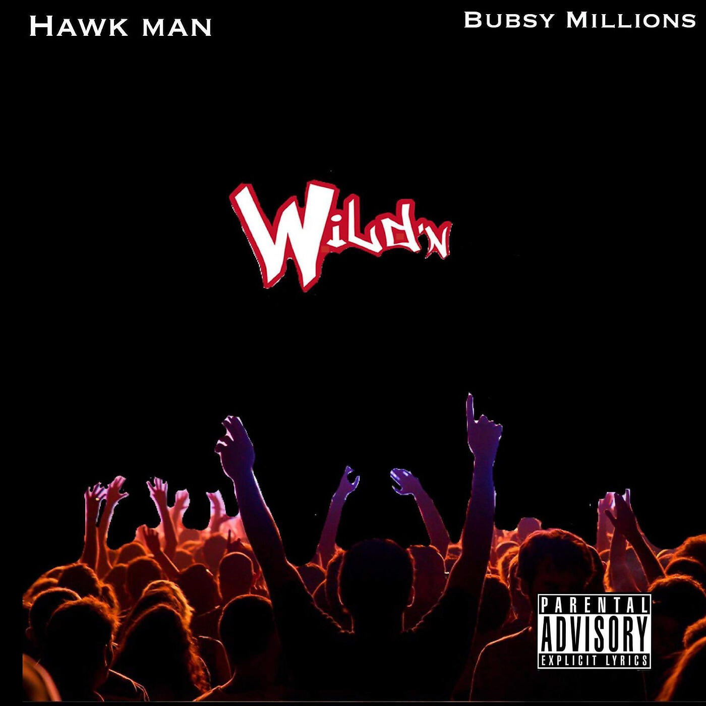 Релиз Wildin
