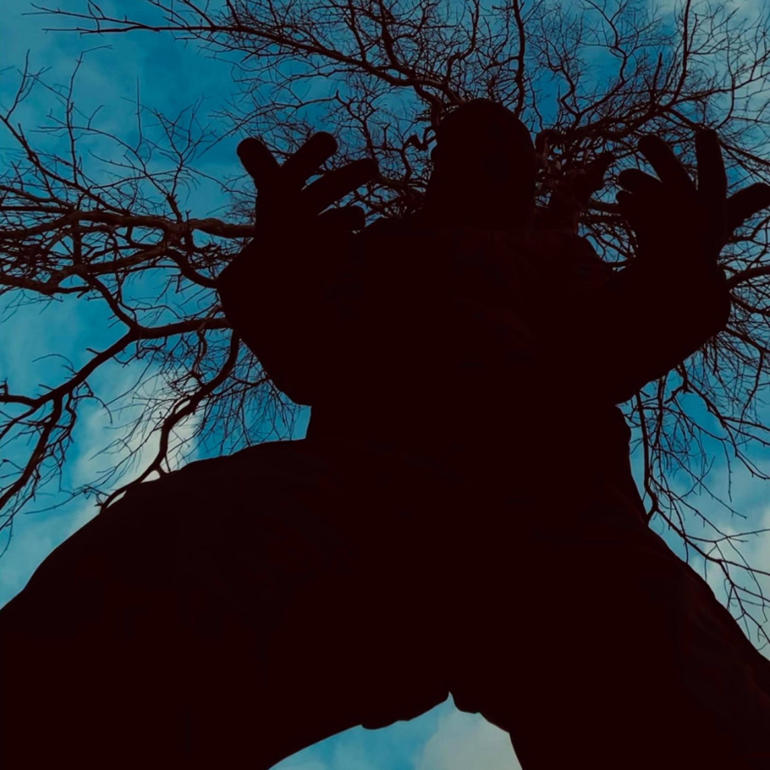 Релиз Пристанище