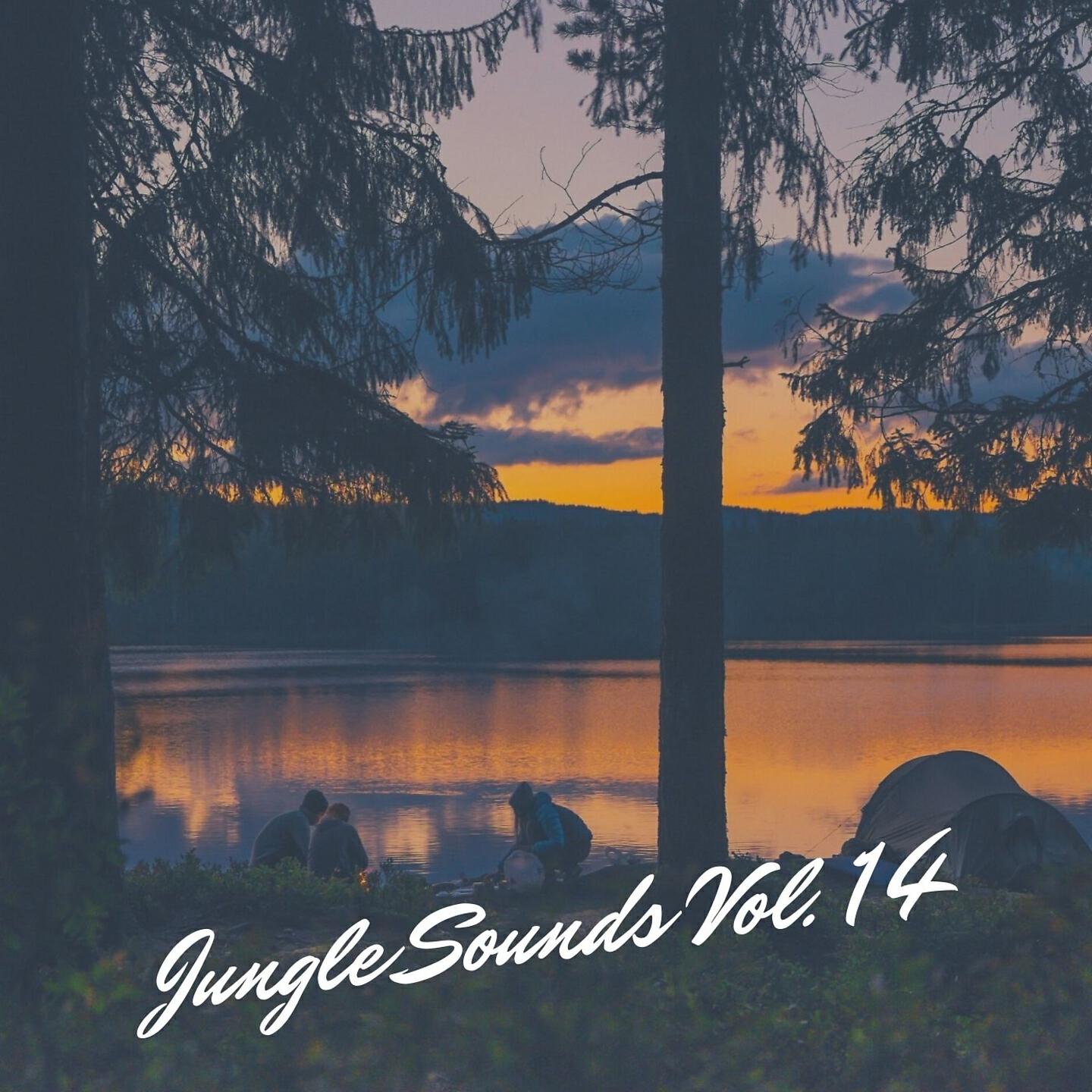 Релиз Jungle Sounds Vol. 14