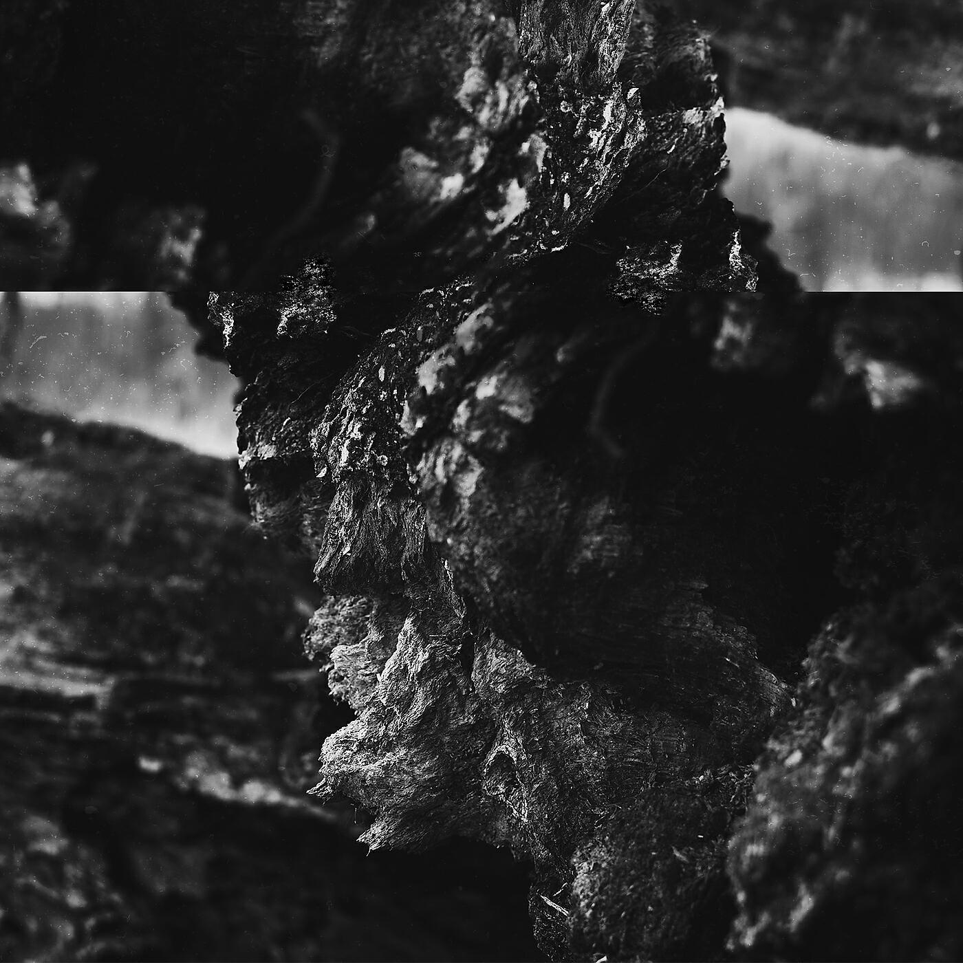 Релиз Fragments