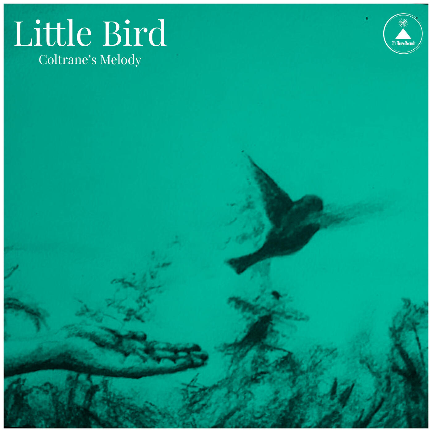 Релиз Little Bird-Coltrane’s Melody
