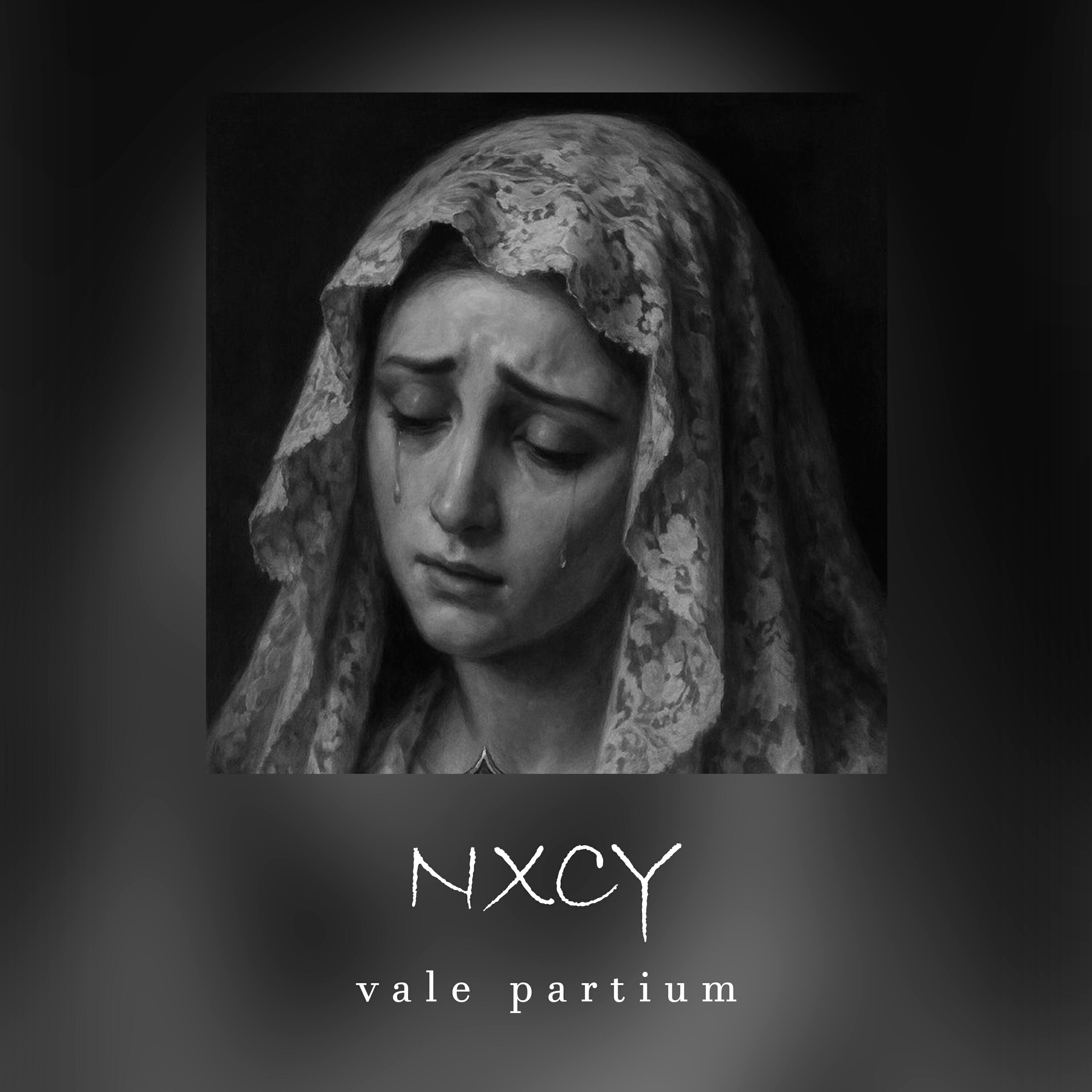 Релиз vale partium