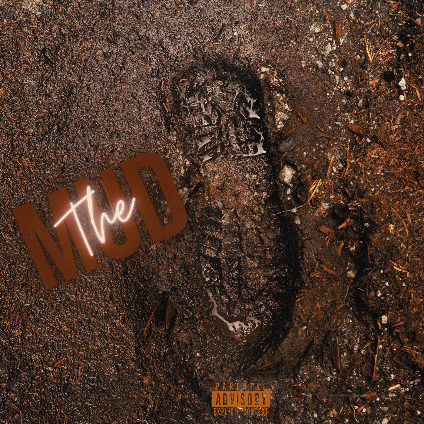 Релиз The Mud