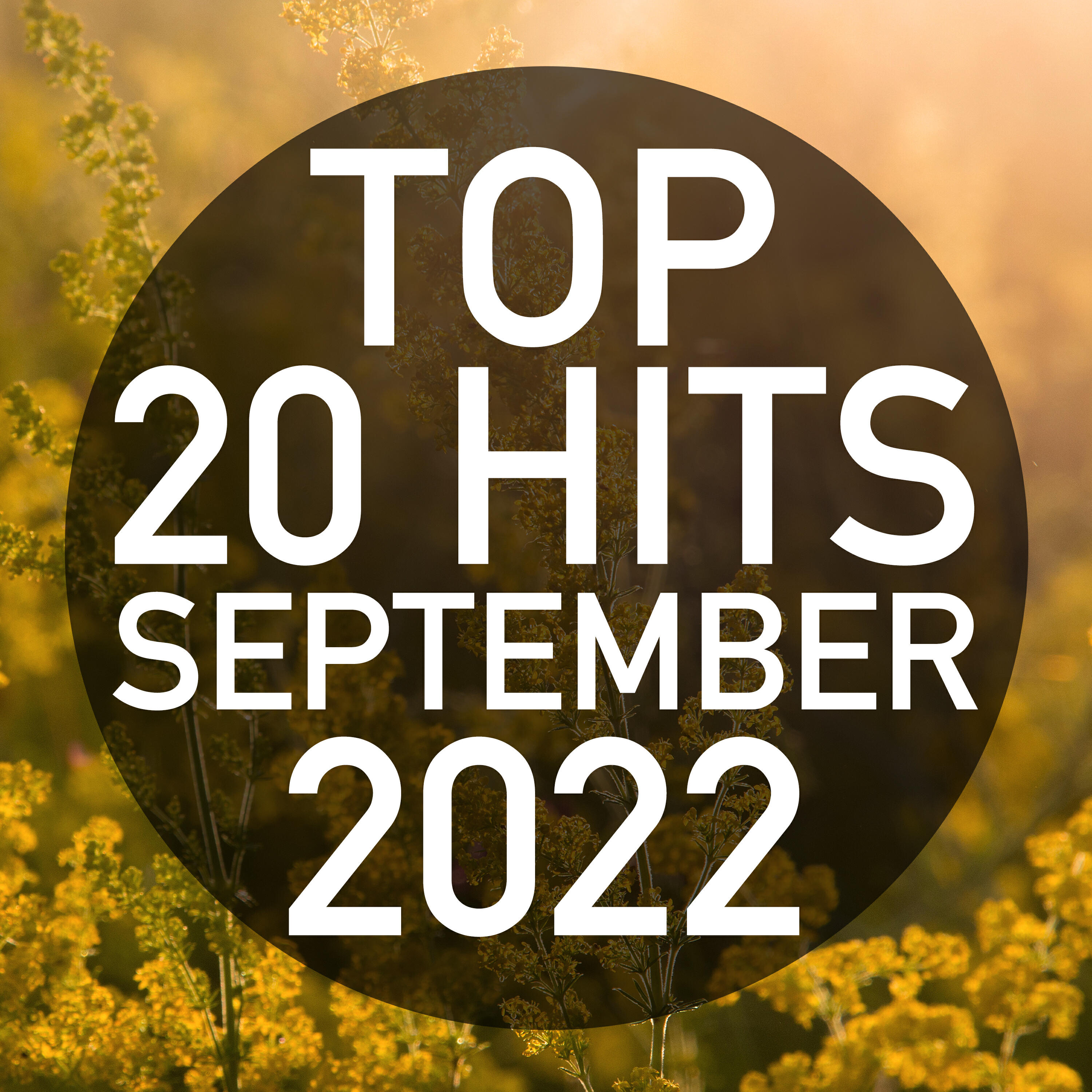 Релиз Top 20 Hits September 2022 (Instrumental)