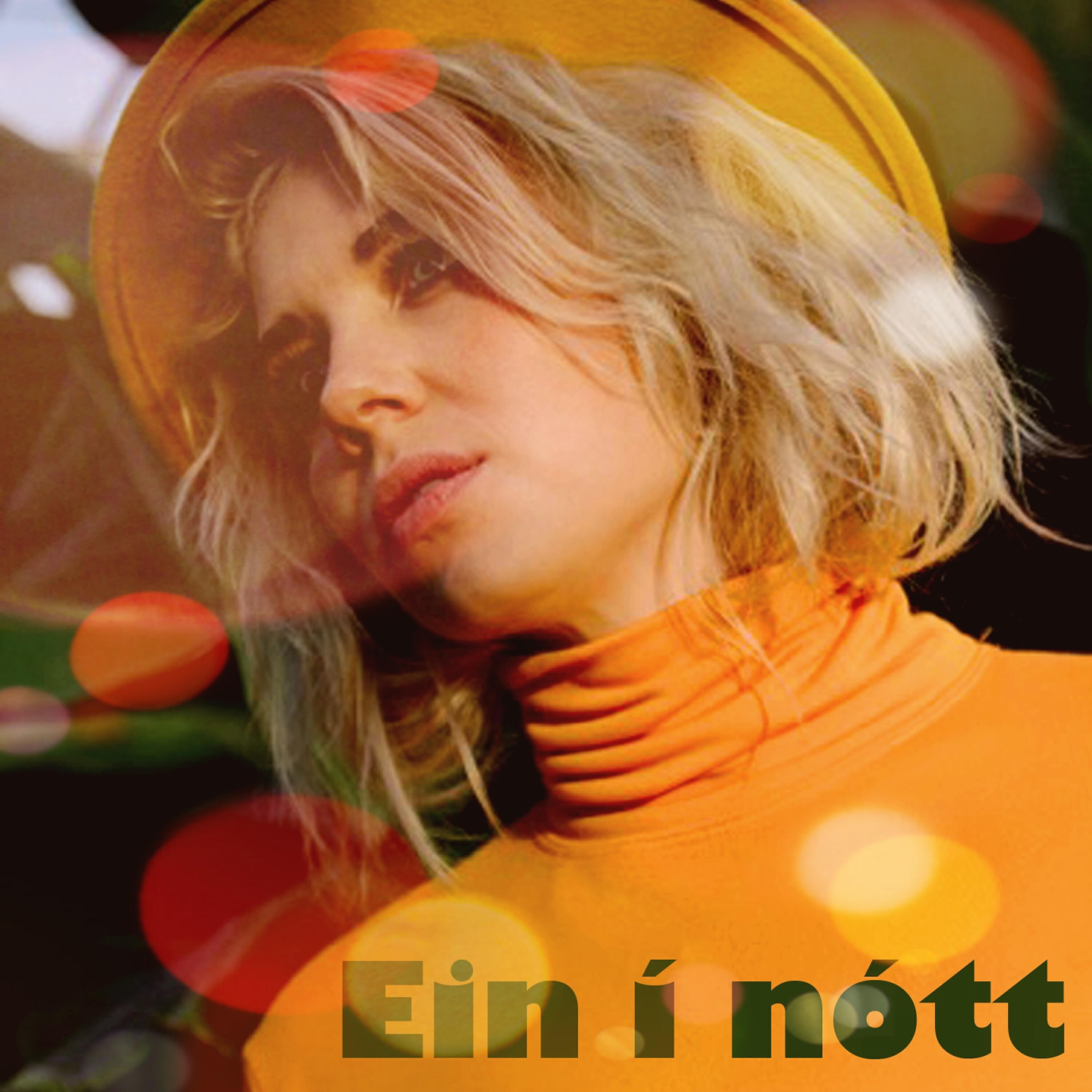 Релиз Ein Í Nótt