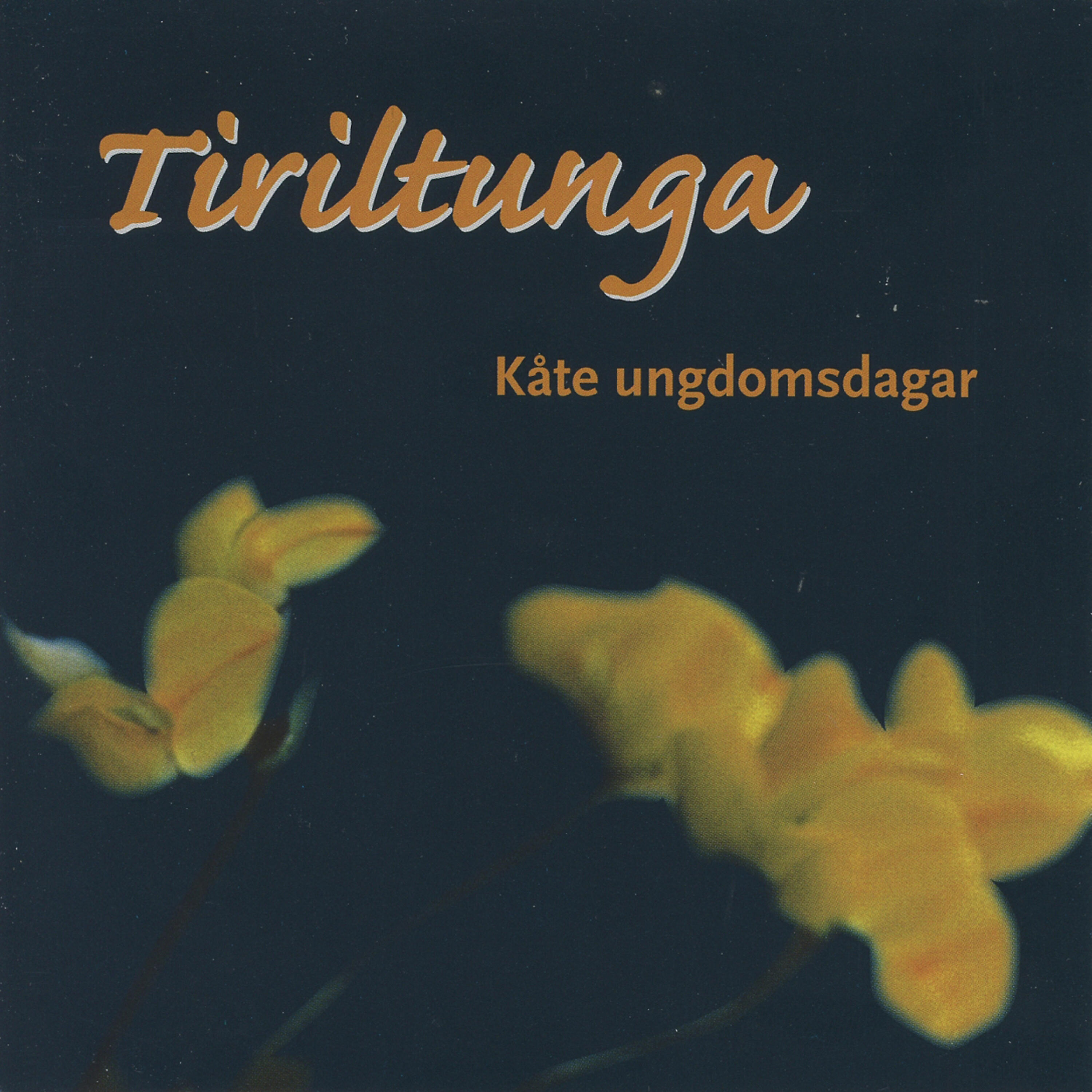 Релиз Kåte ungdomsdagar