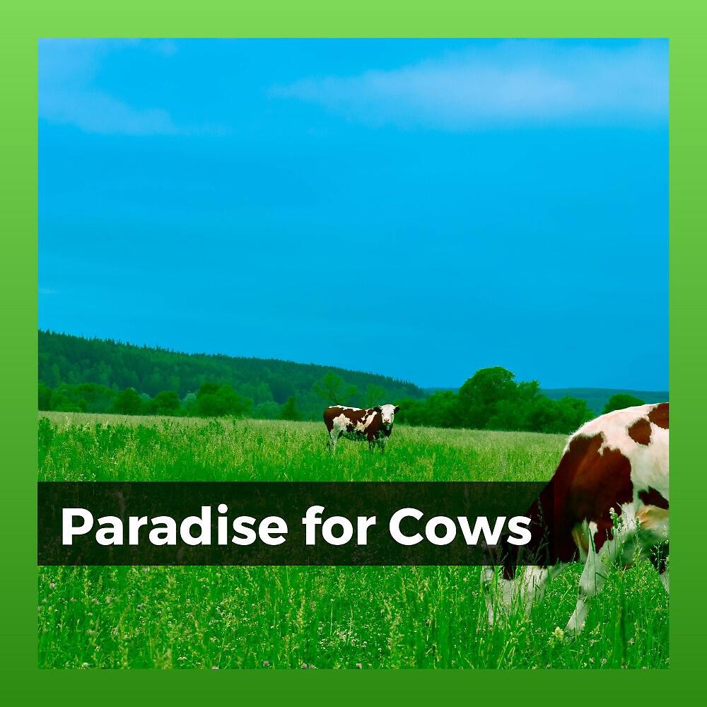 Релиз Paradise for Cows