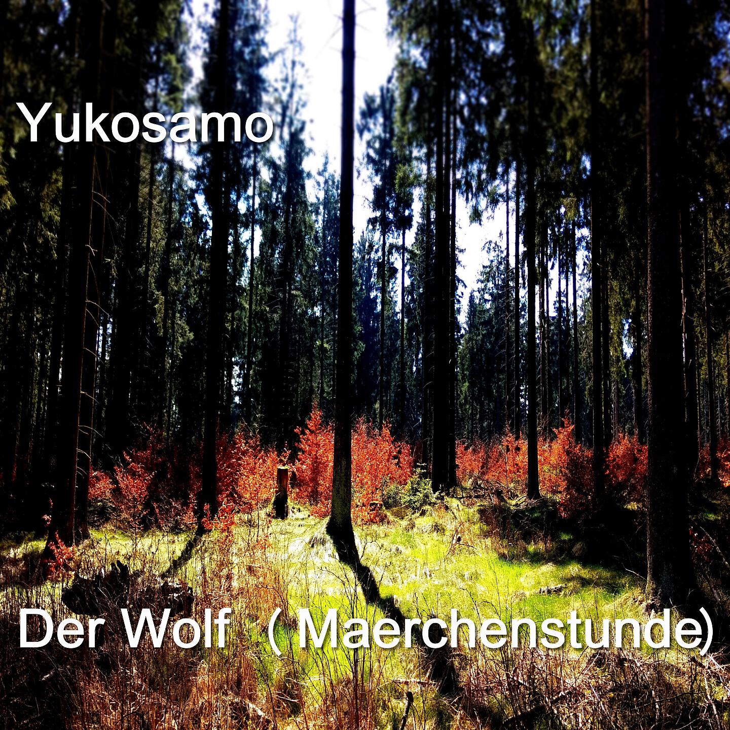 Релиз Der Wolf (Maerchenstunde)