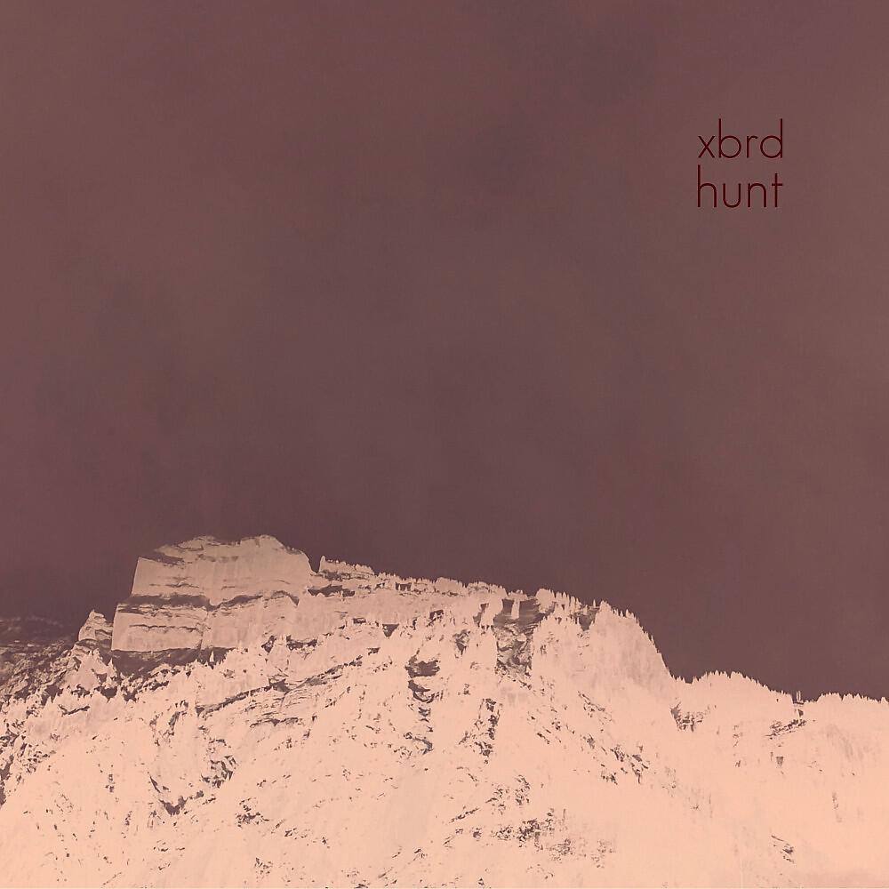 Релиз Hunt