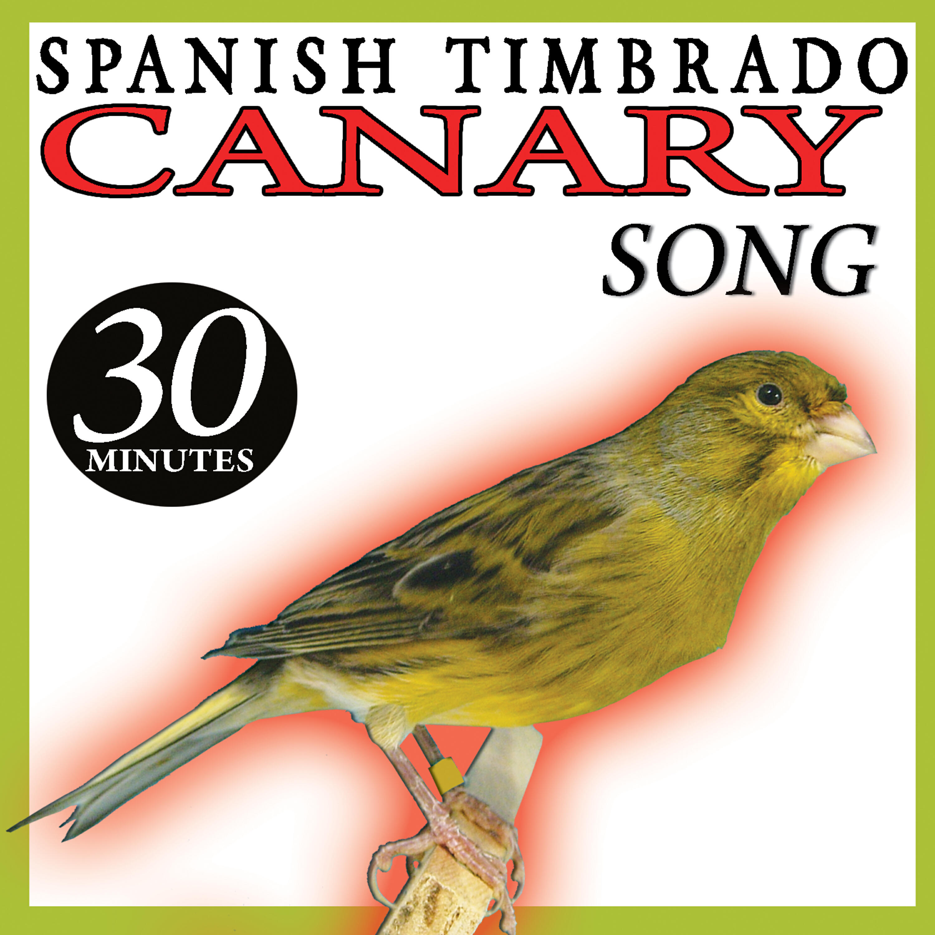 Релиз Spanish Timbrado Canary Song Birds Sounds