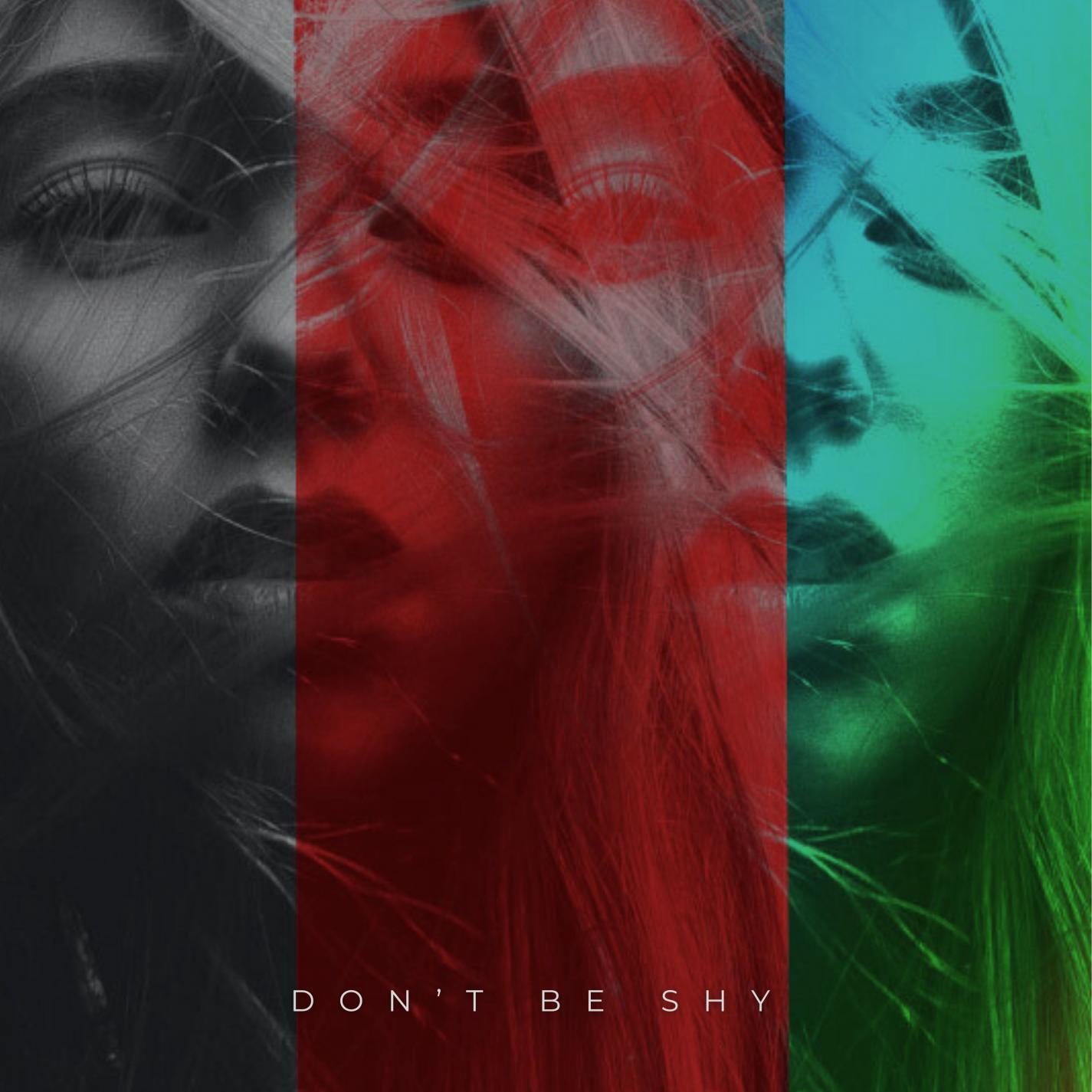 Релиз Don't be shy (Techno Version)