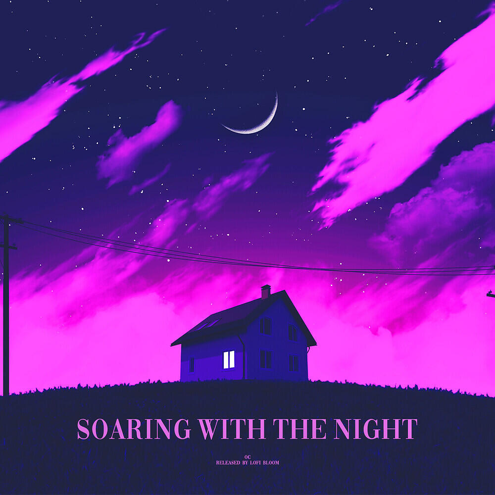 Постер альбома soaring with the night
