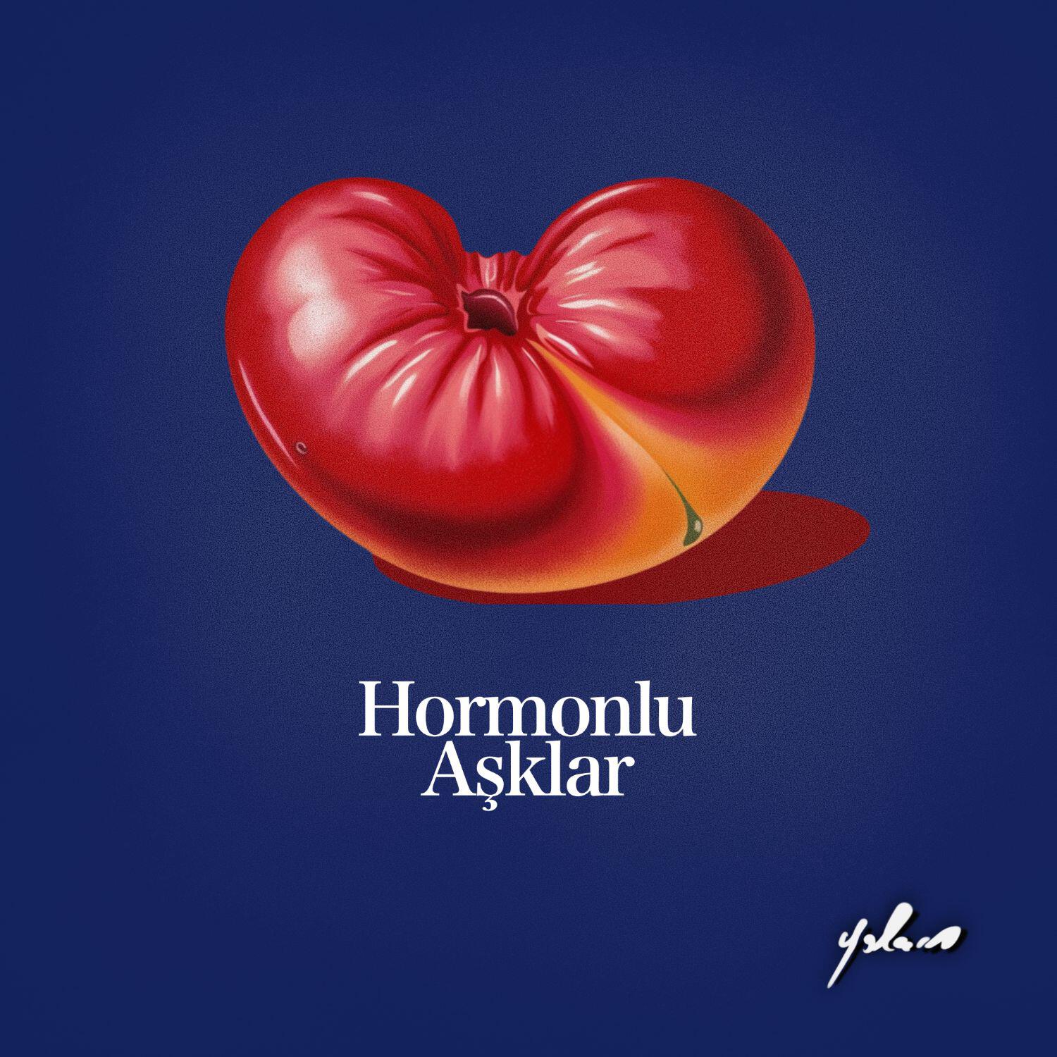 Релиз Hormonlu Aşklar