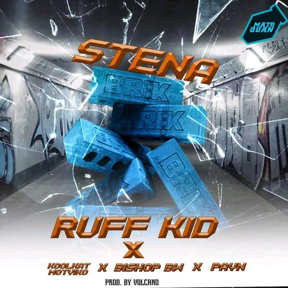Релиз Stena