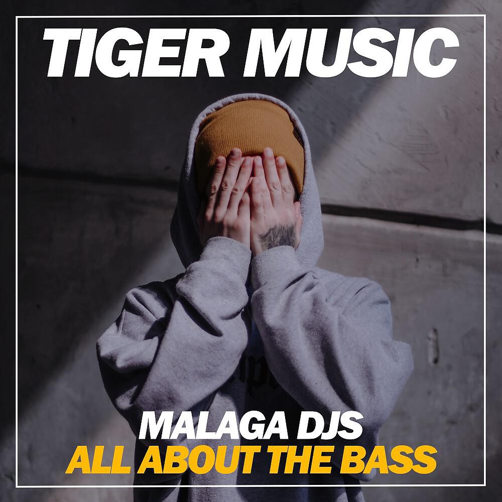 Релиз All About the Bass (Brazilian Bass Mix)