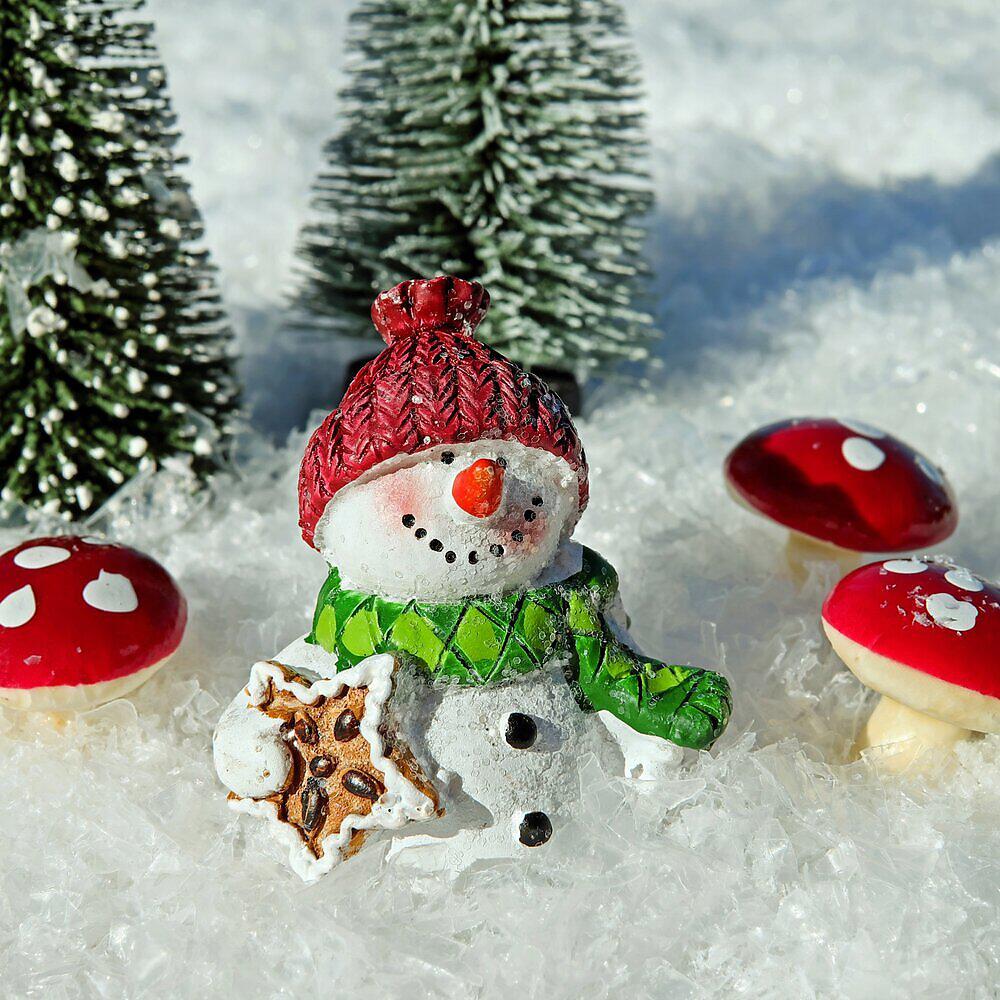 Релиз Enter the Christmas Zone: a Timeless Collection of 50 Beautiful Christmas Melodies