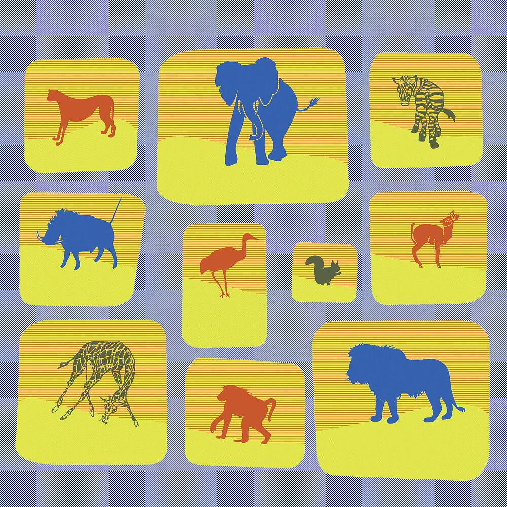 Релиз Zoo Life