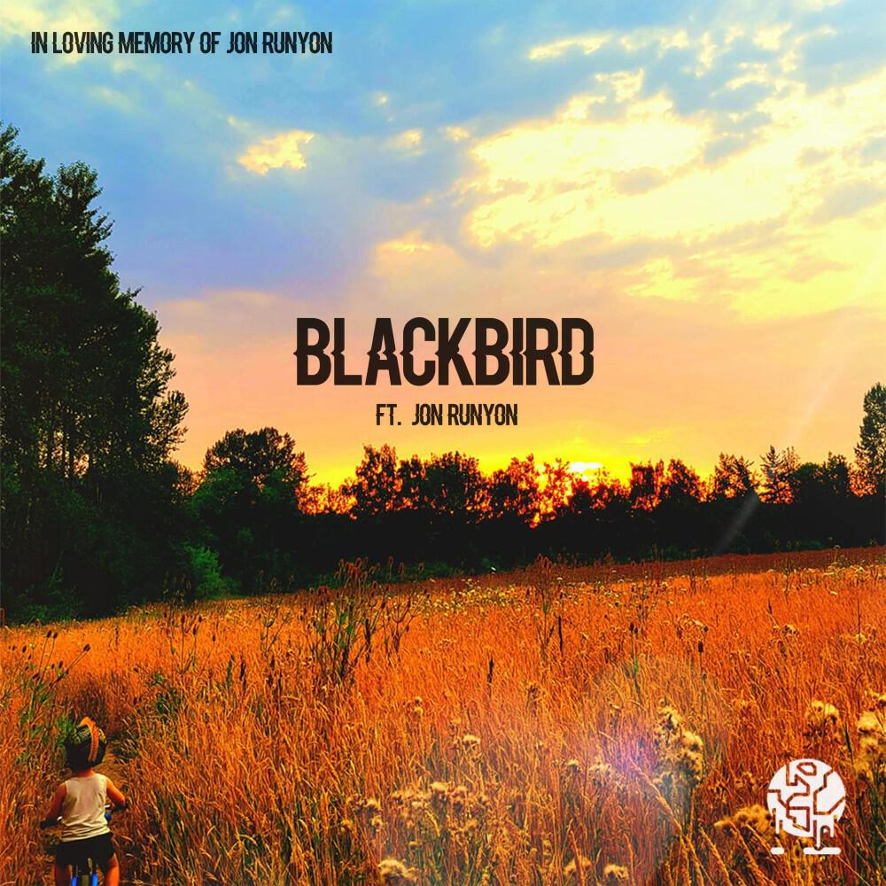 Релиз Blackbird
