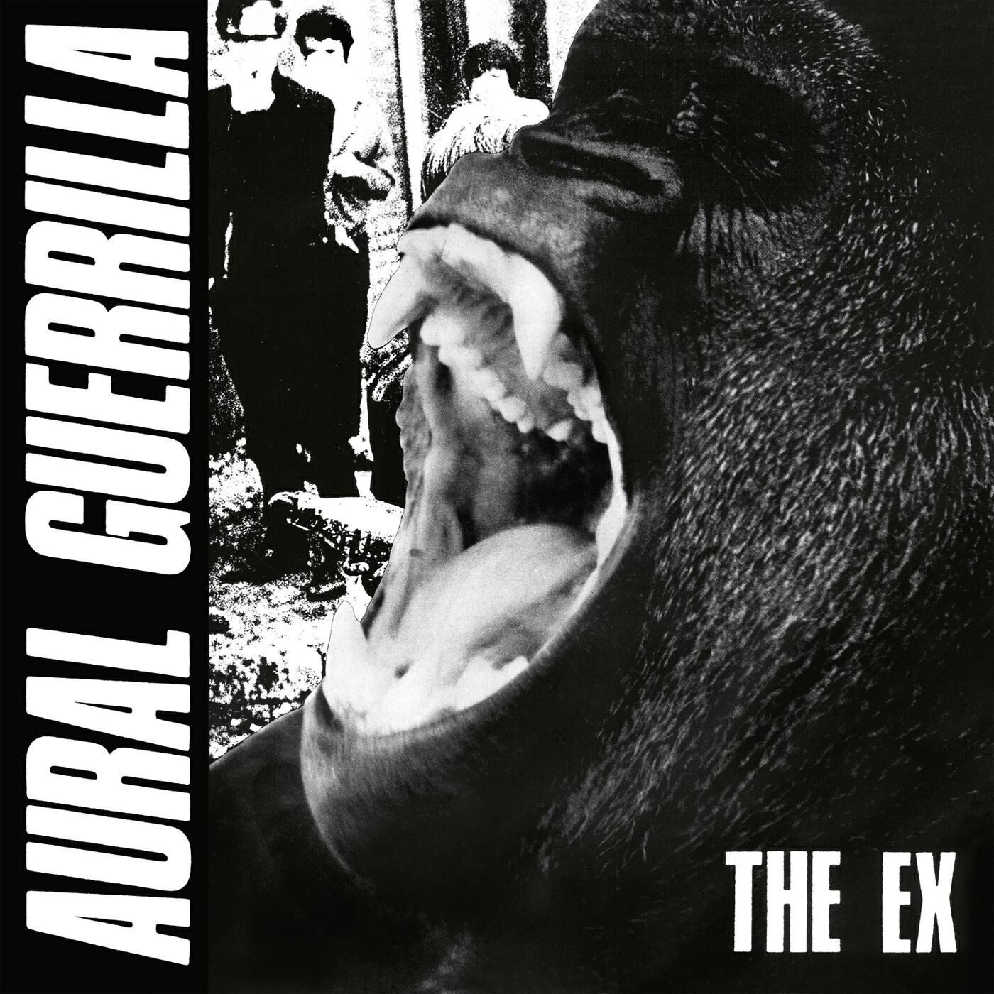Релиз Aural Guerrilla