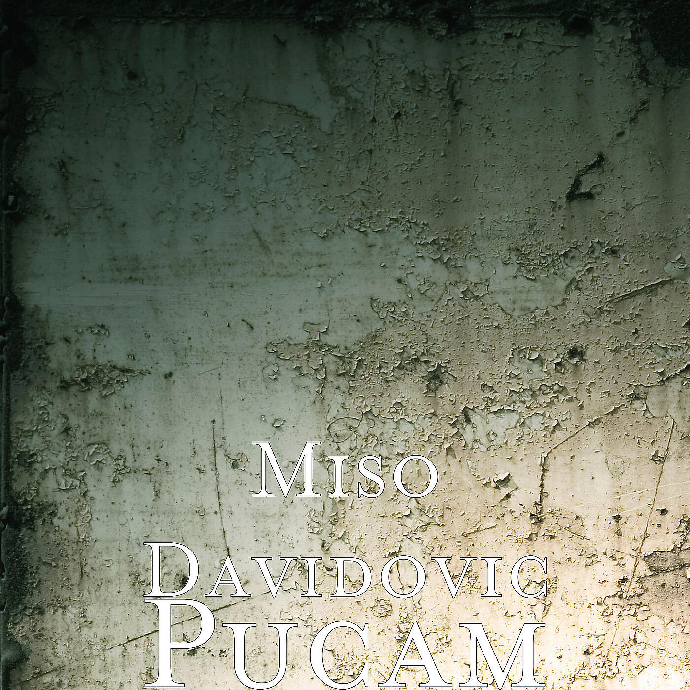 Релиз Pucam