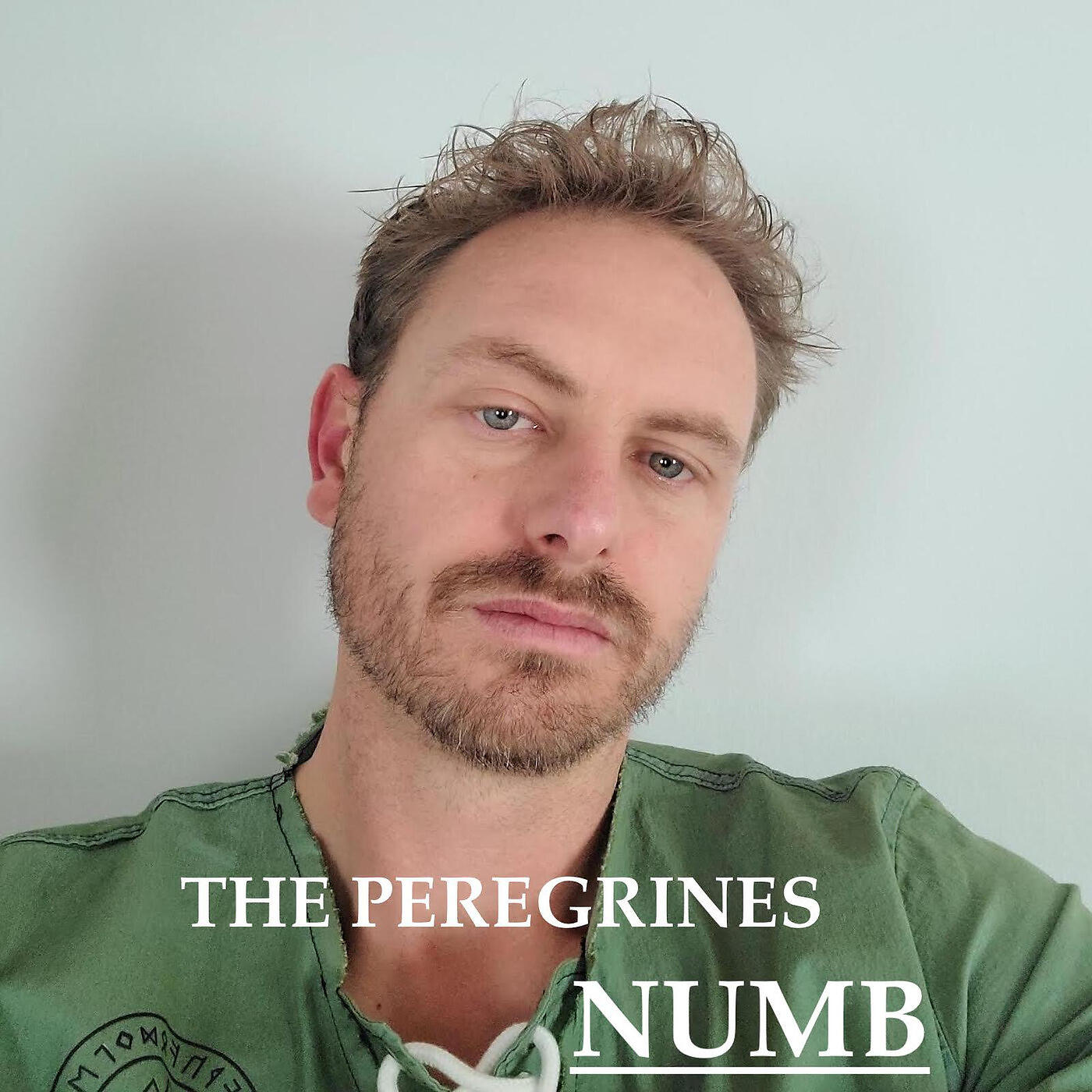 Релиз Numb