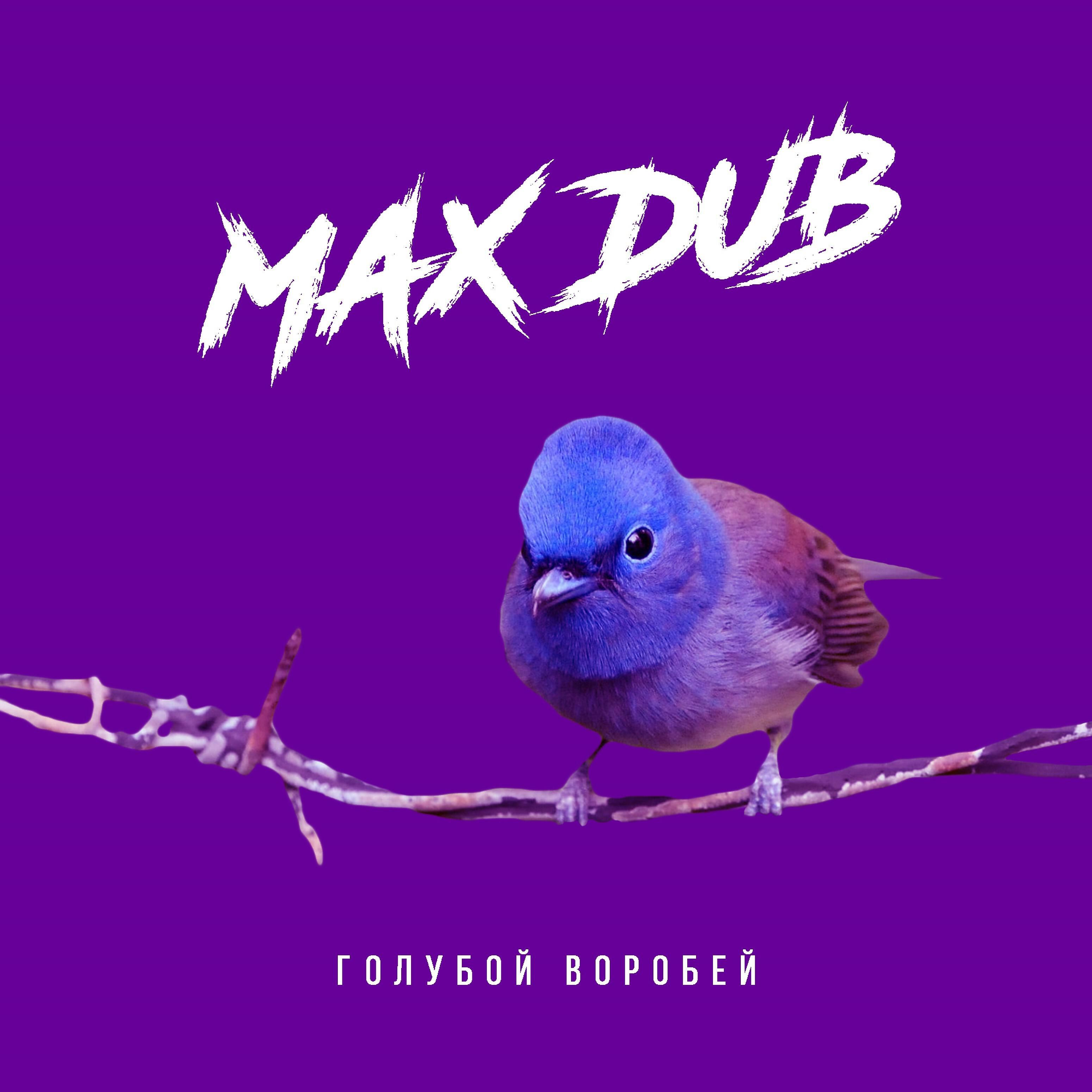 Max dub