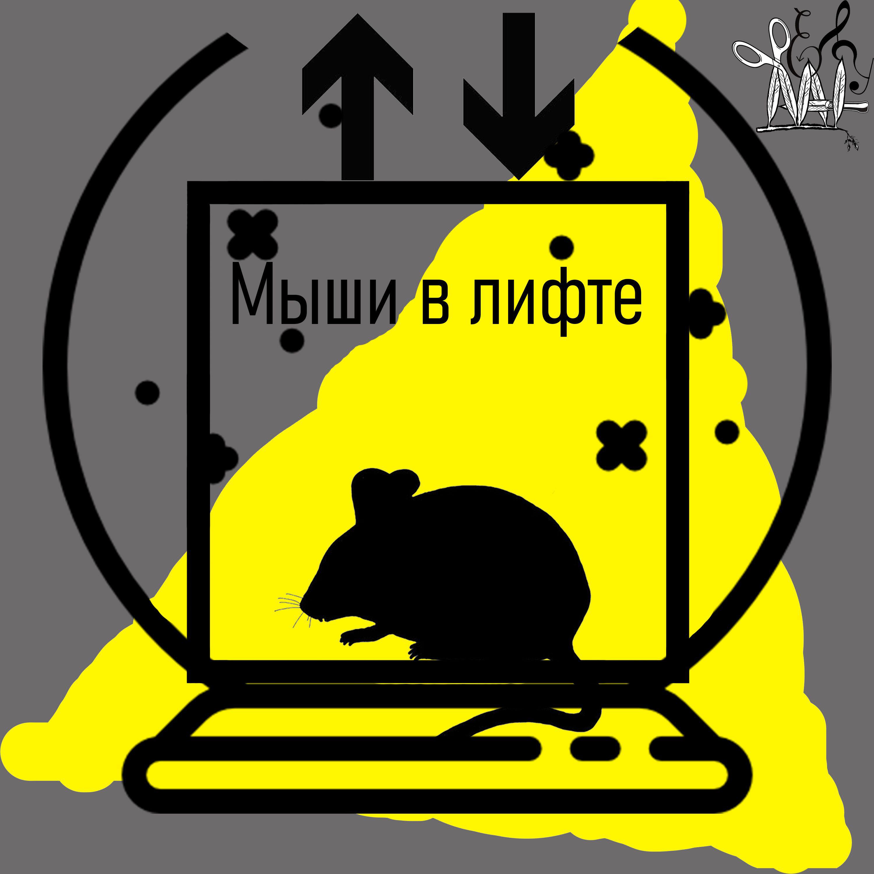 Rehbyna VI