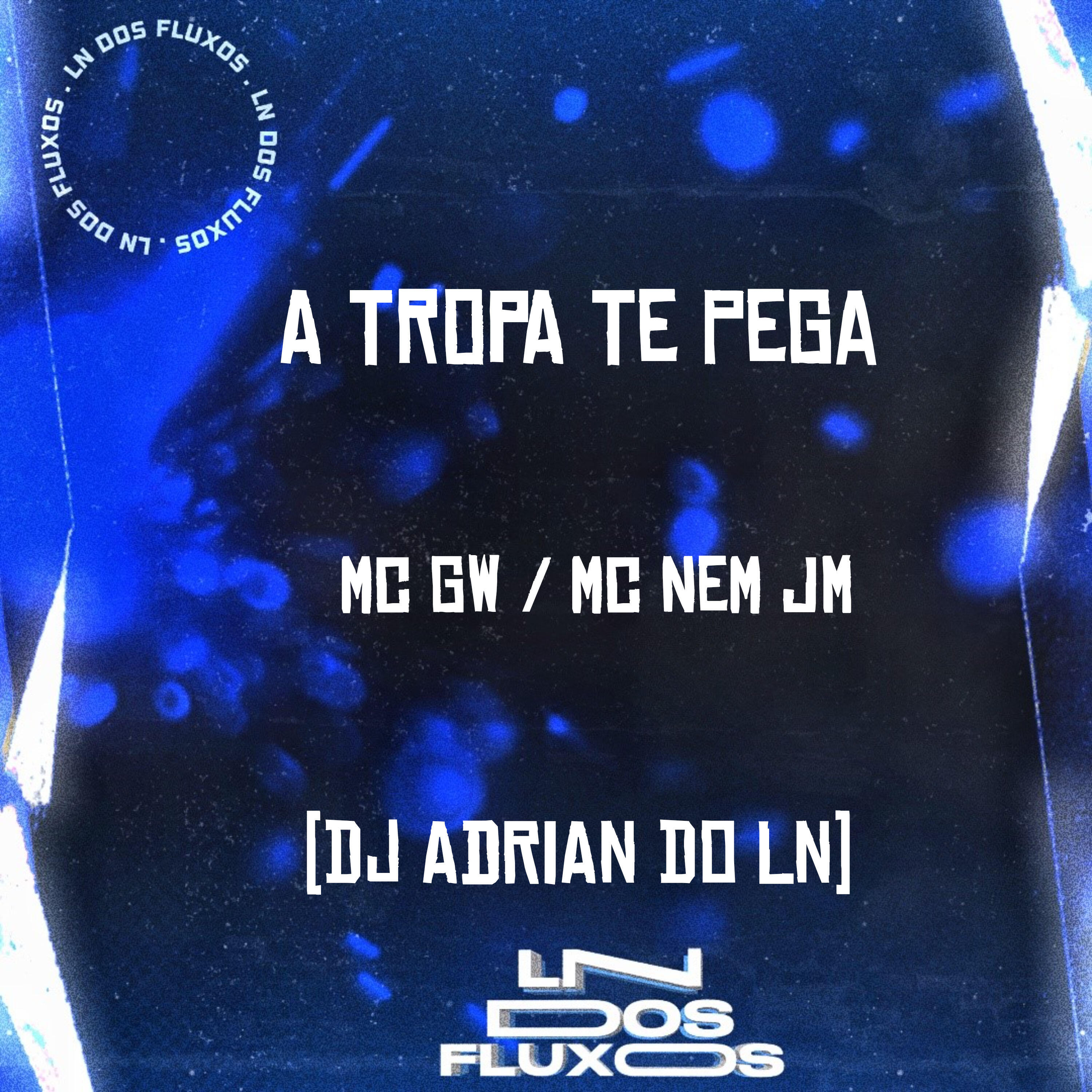 Скачать песню Mc Nem Jm, Mc GW, DJ ADRIAN DO LN - A Tropa Te Pega бесплатно в MP3 для Android и iOS