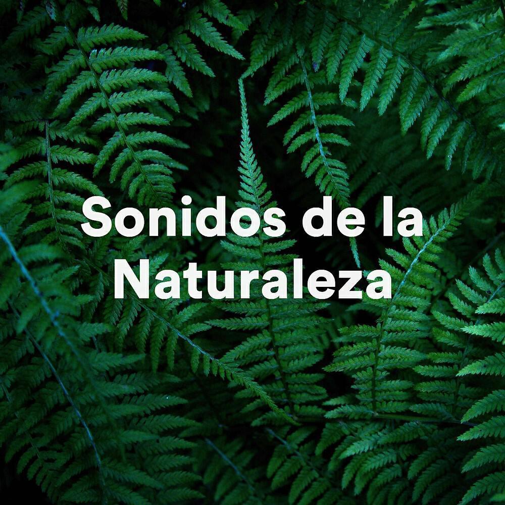 Sonidos naturales