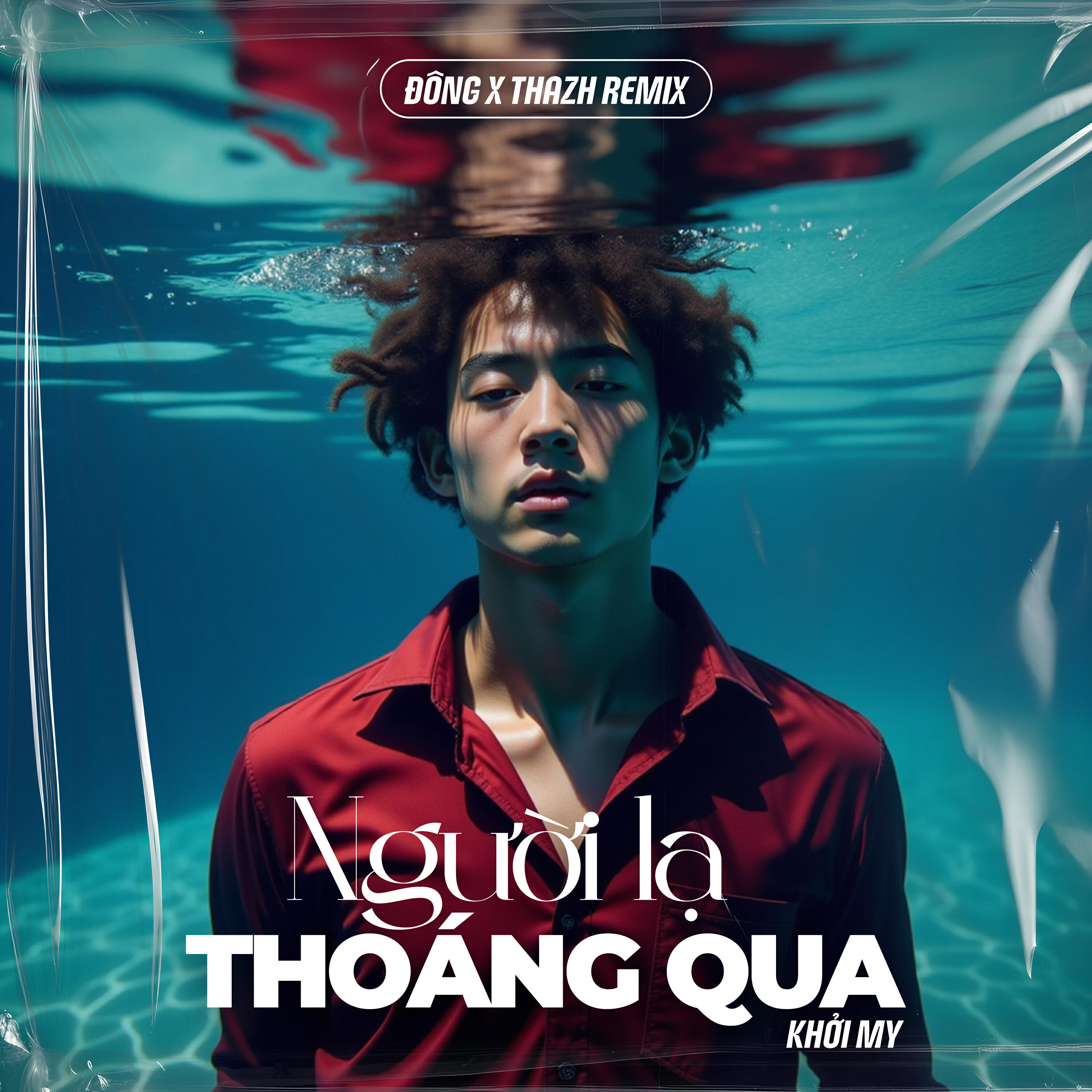 Релиз Người Lạ Thoáng Qua (Đông x Thazh Remix)