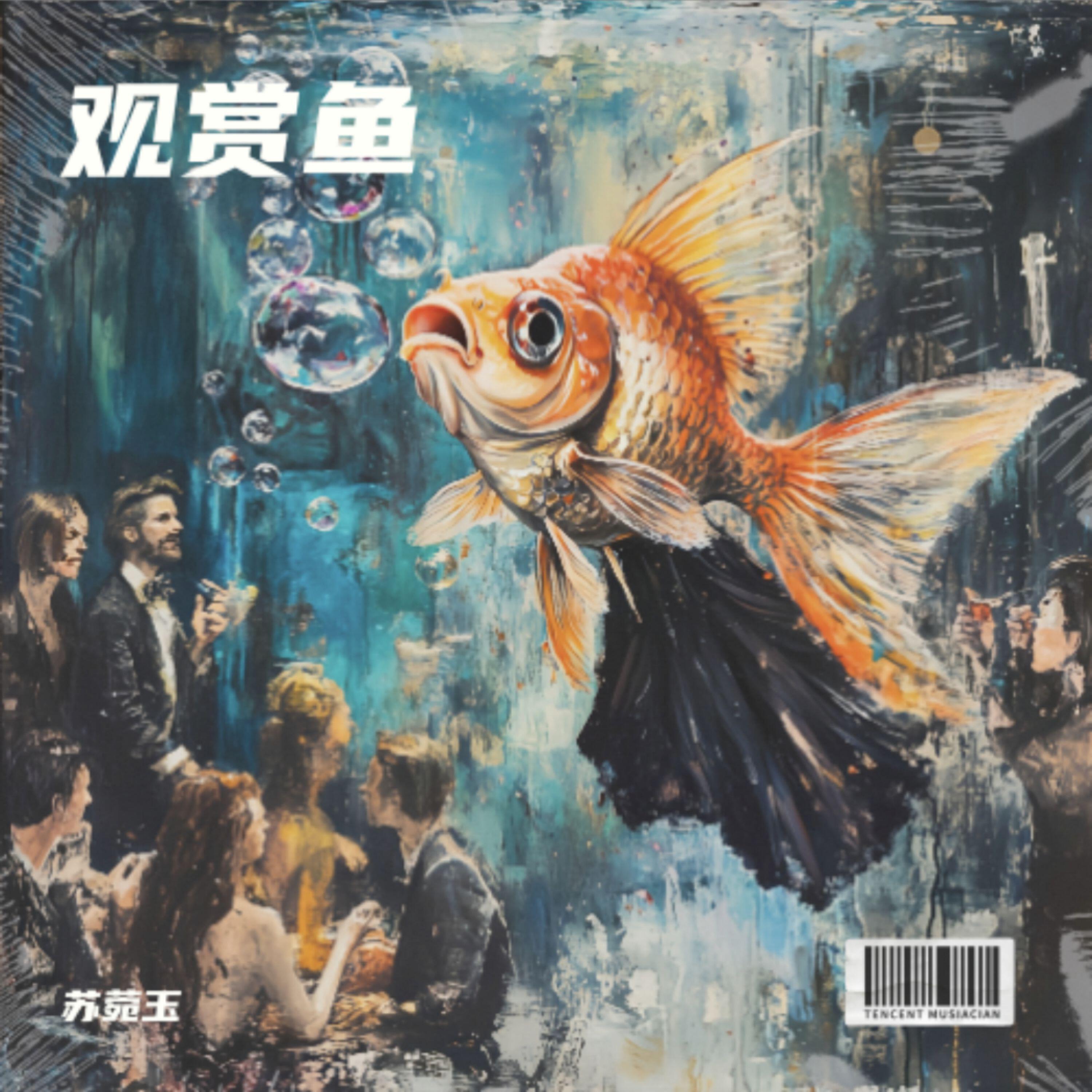 Релиз 观赏鱼