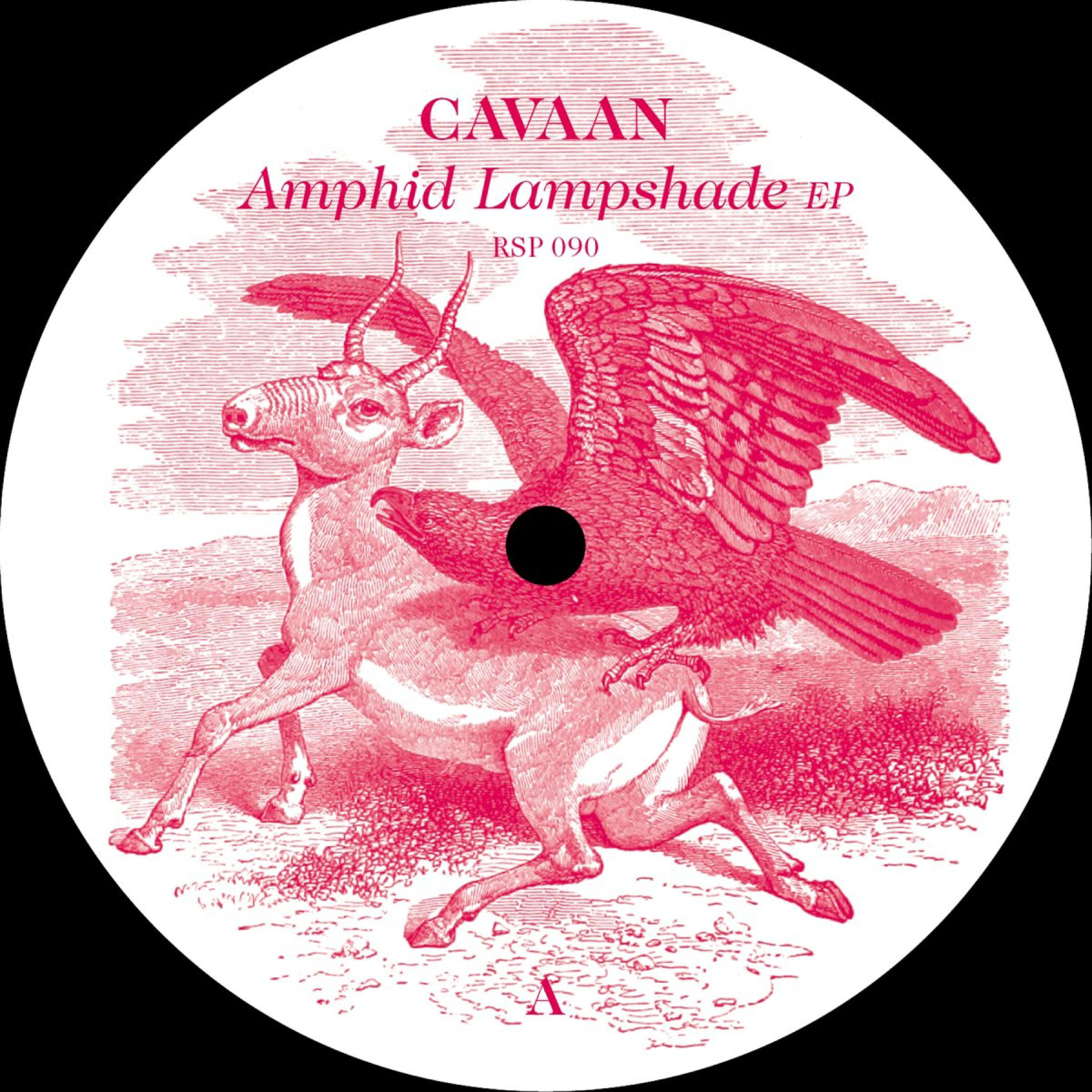Релиз Amphid Lampshade