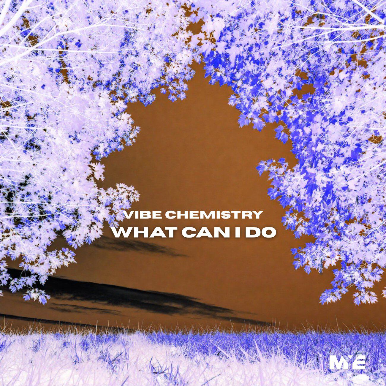 Релиз What Can I Do