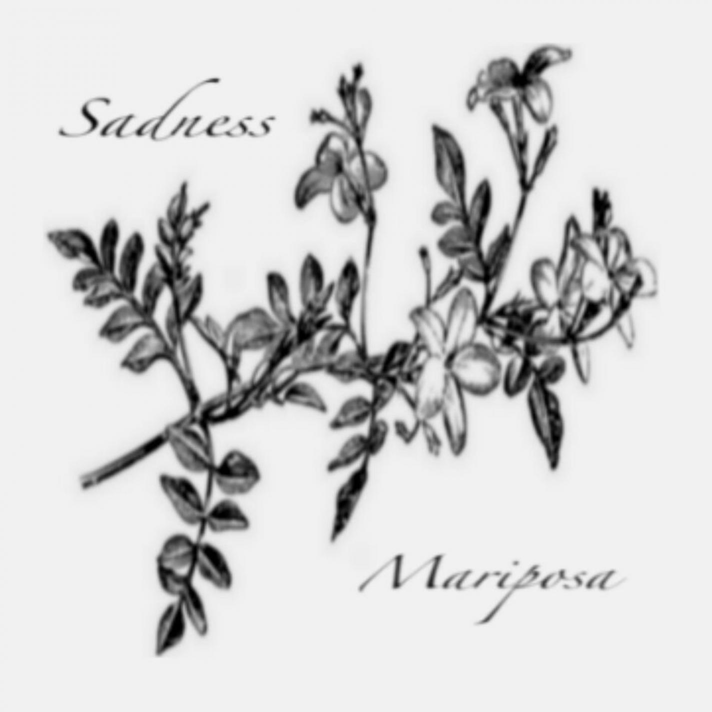 Релиз Mariposa