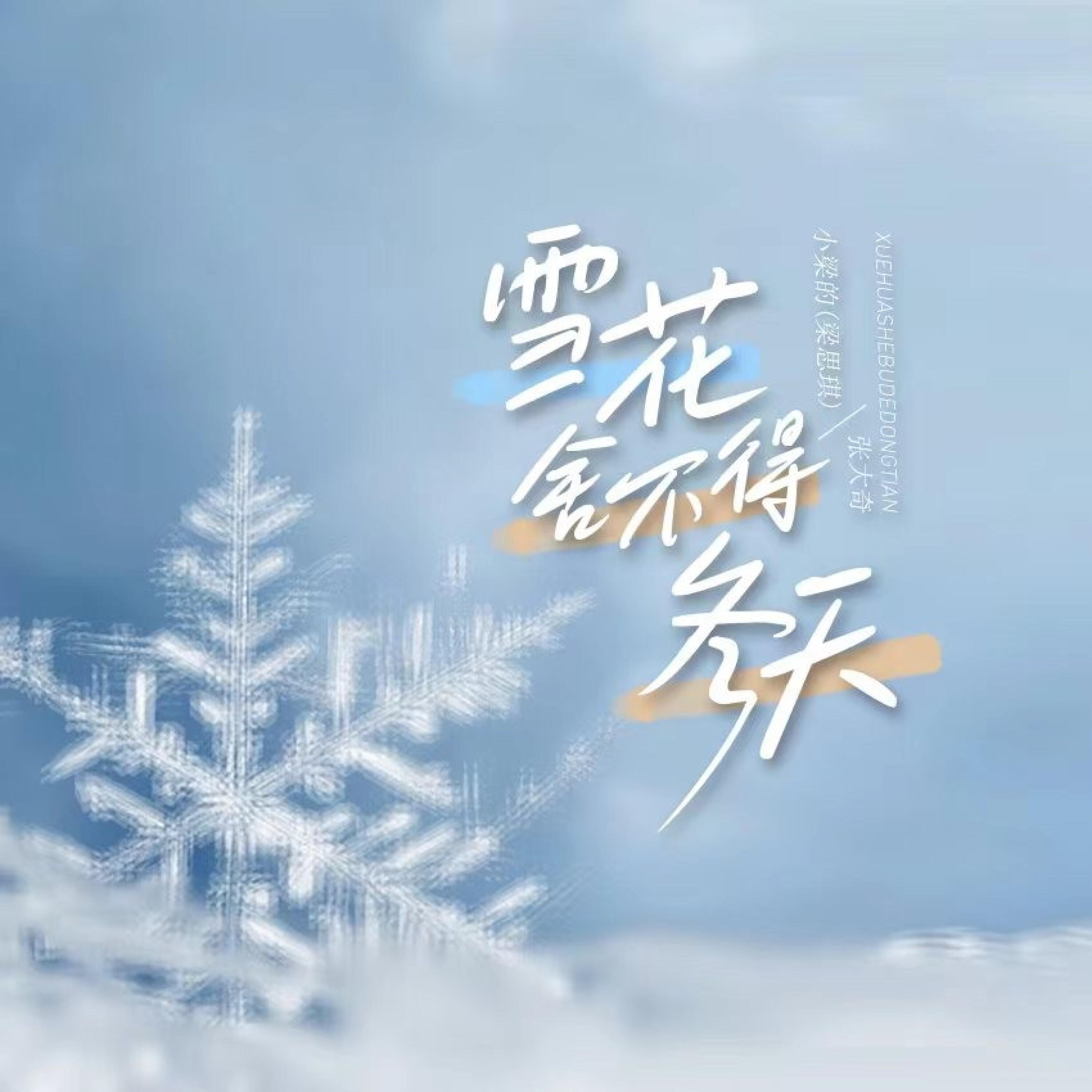 Релиз 雪花舍不得冬天