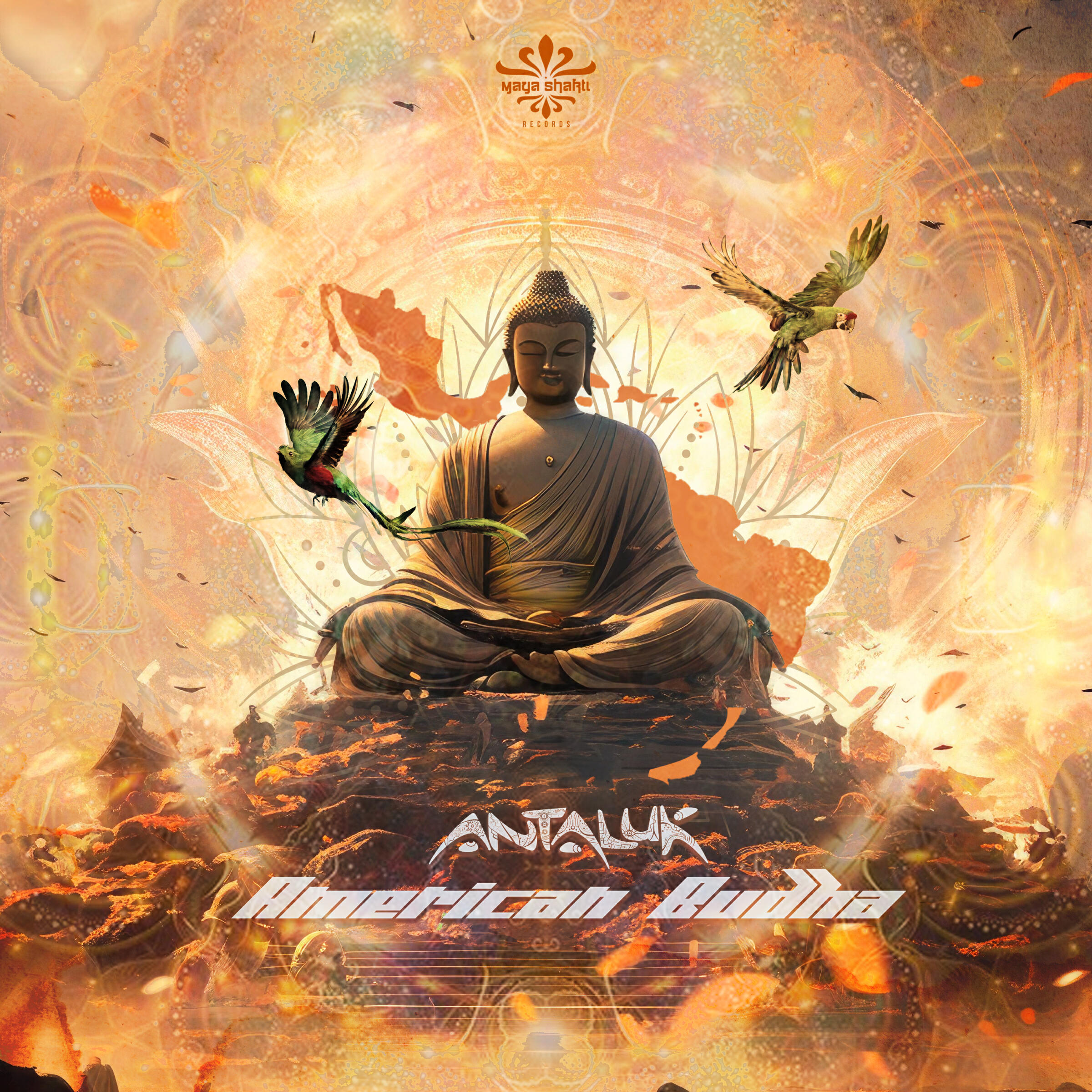 Релиз American Budha